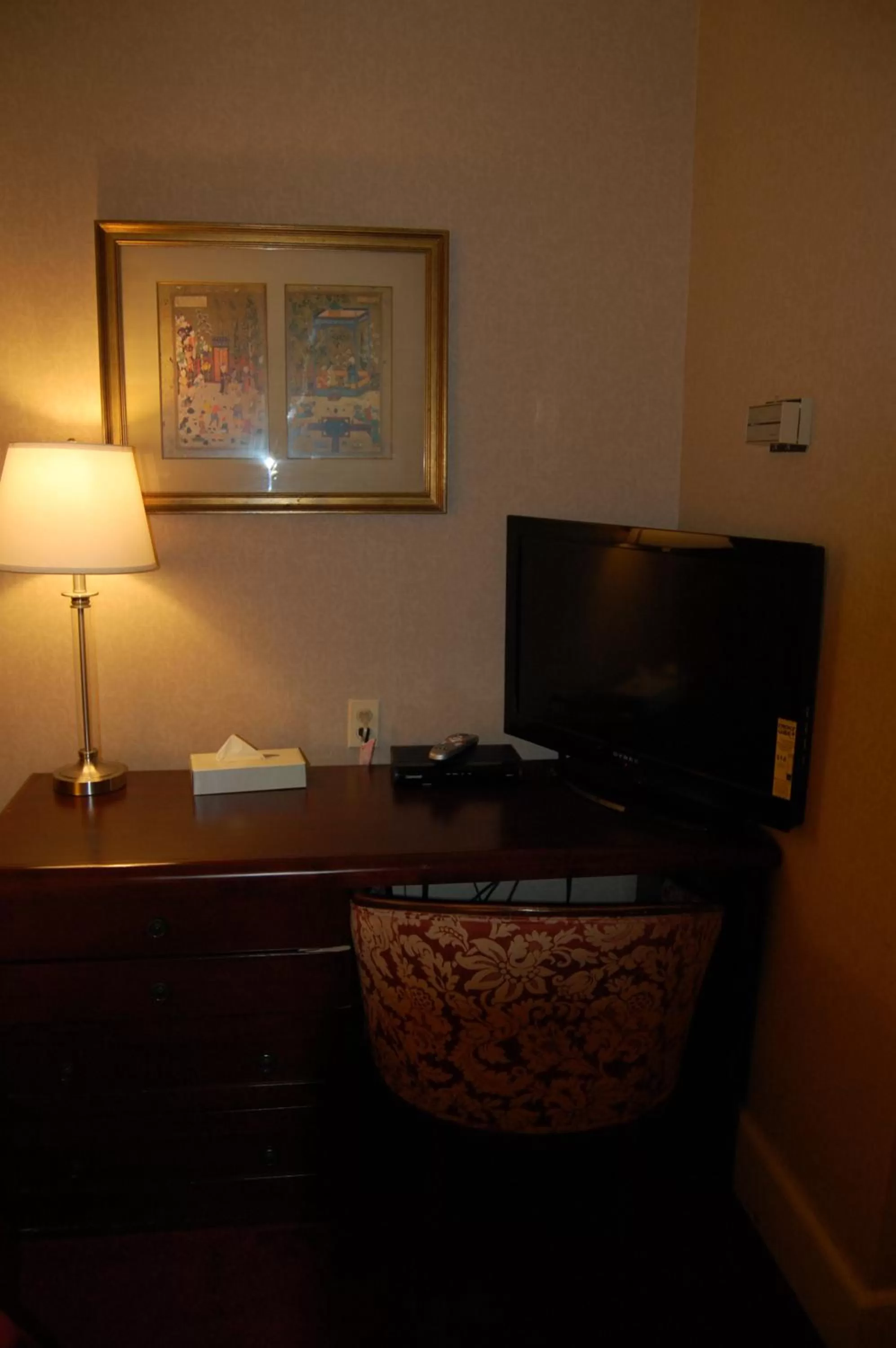 TV and multimedia in Windsor Inn Hotel