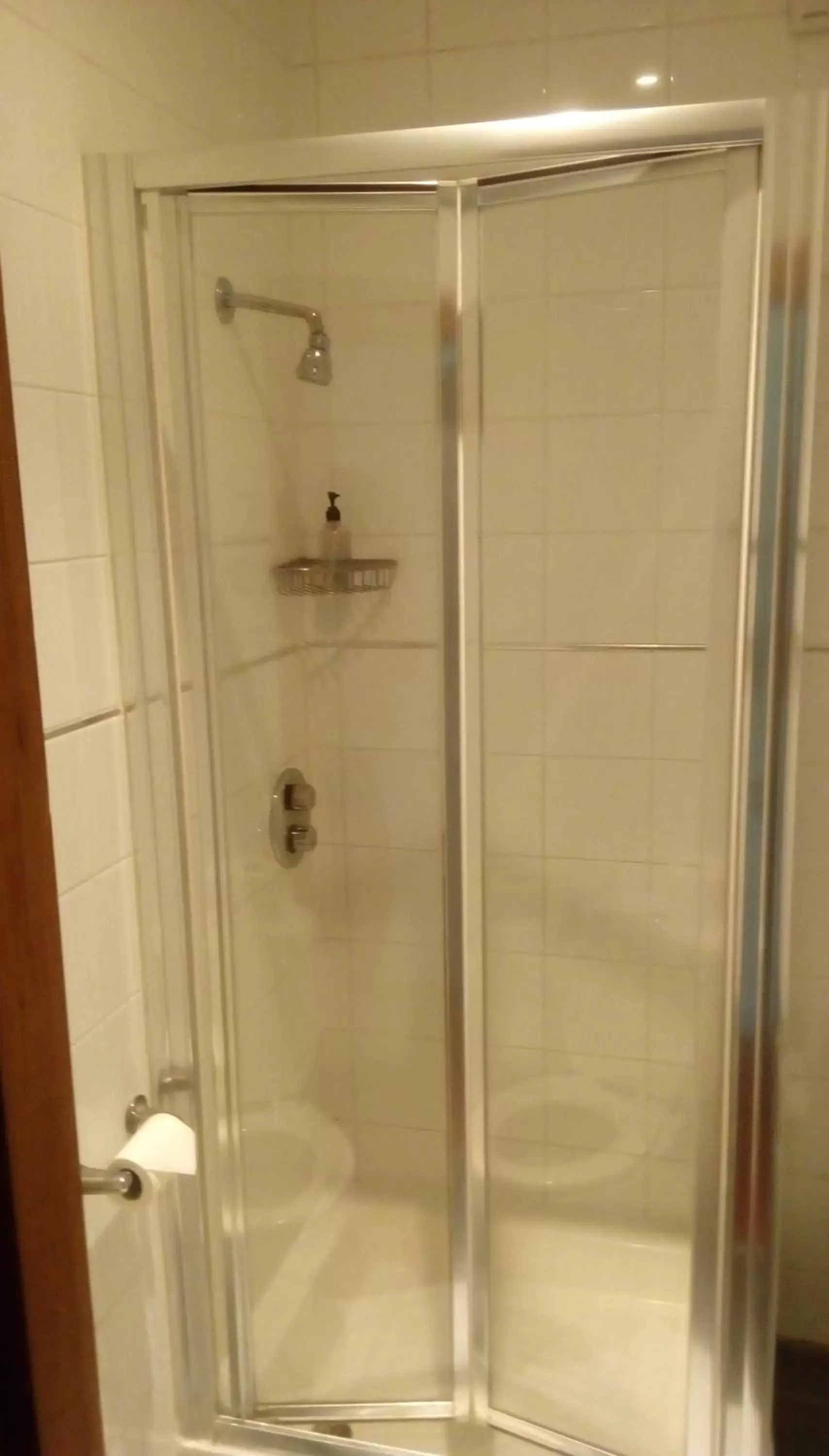 Shower in The Brent Hotel - London - Wembley and Harrow