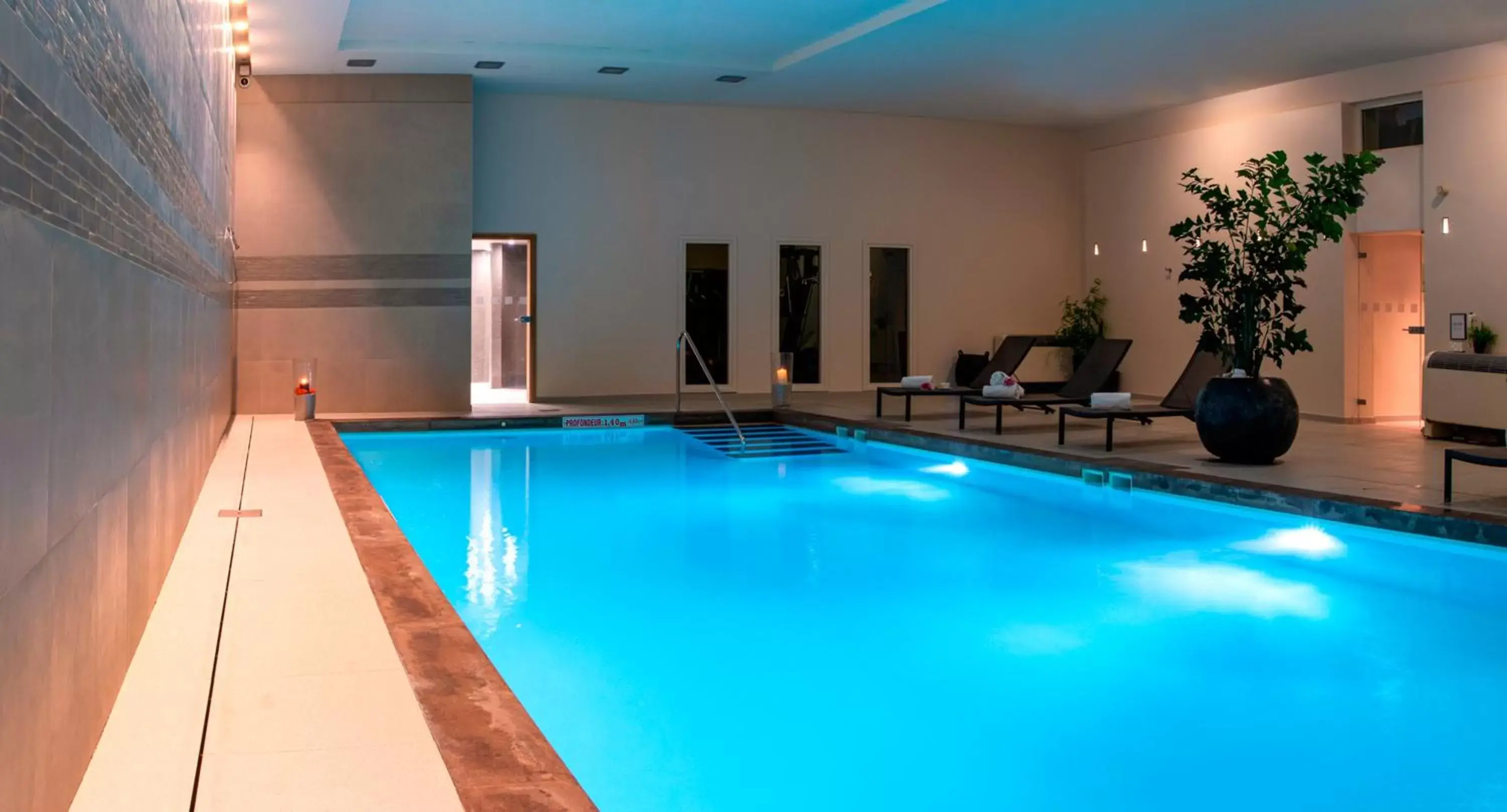 Swimming Pool in Holiday Inn Mulhouse, an IHG Hotel