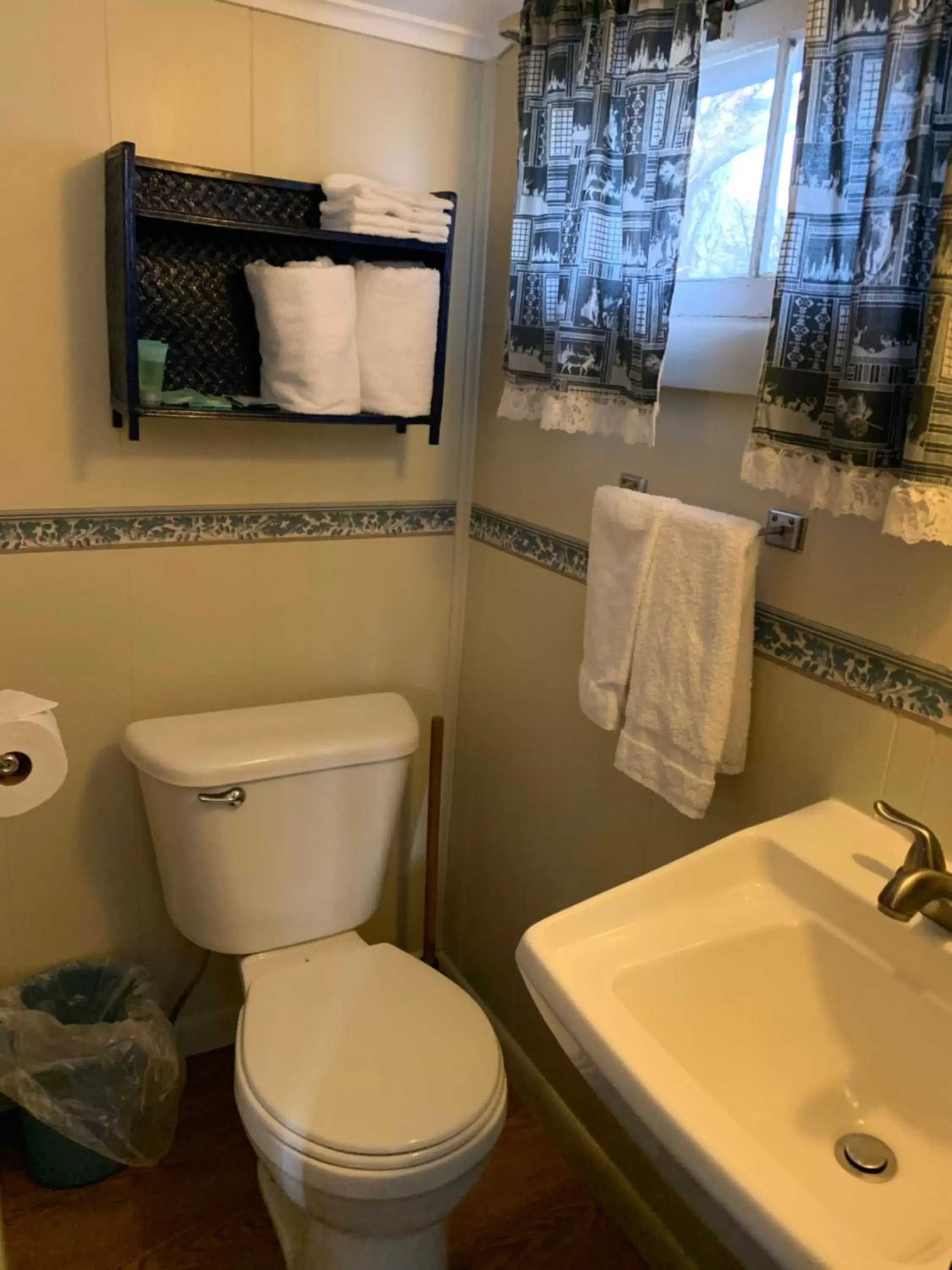 Bathroom in carrollmotel and cottages