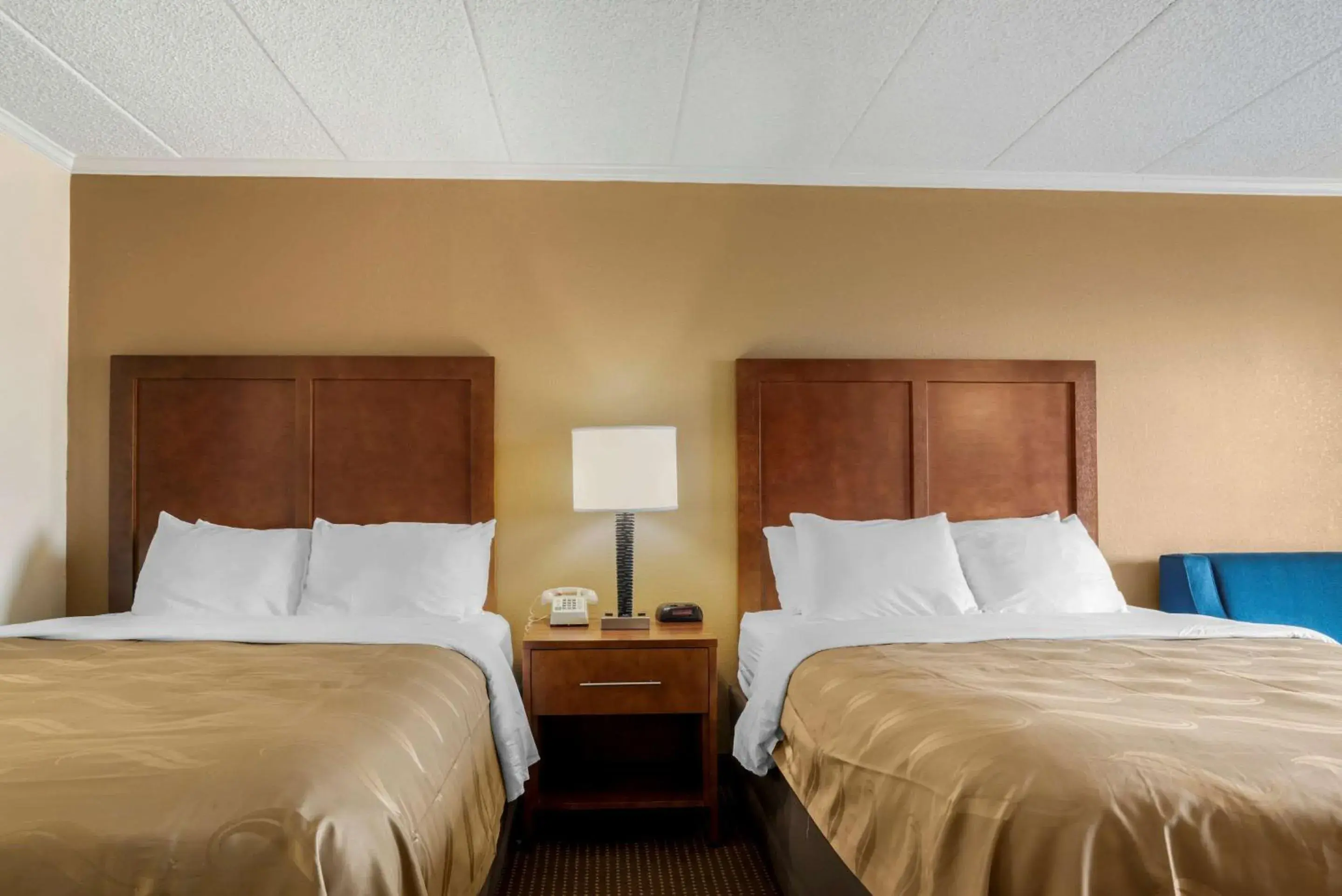 Bedroom, Bed in Quality Inn & Suites Oceanblock