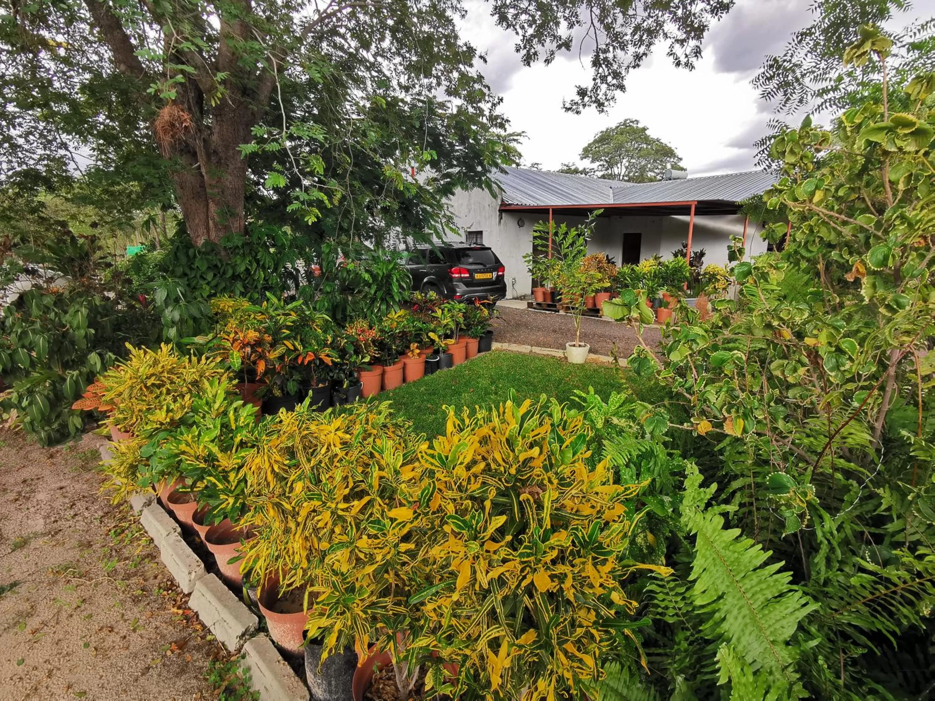 Property Building in Happy Forest B&B