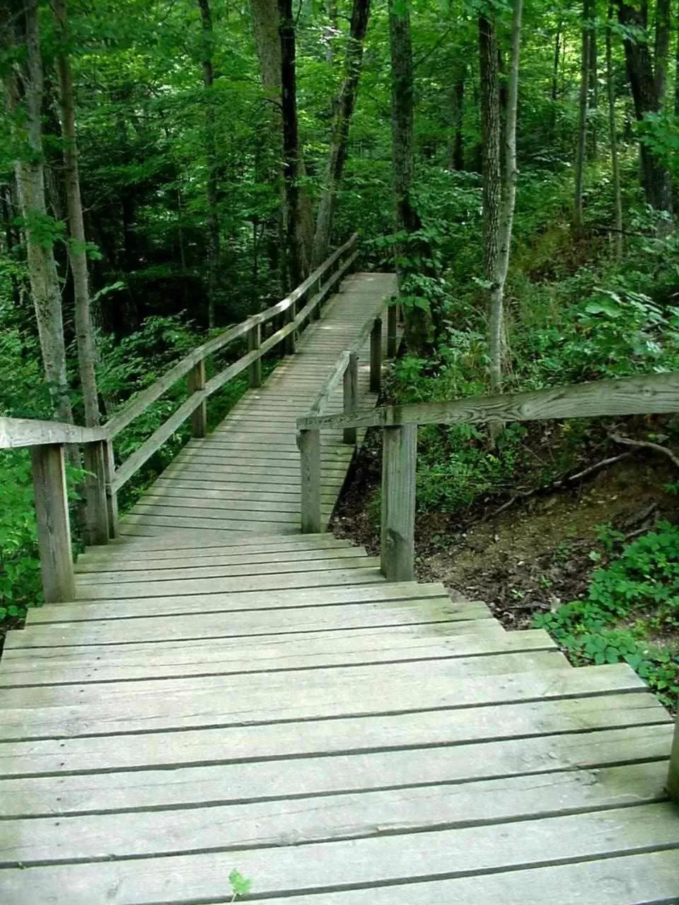 Property building in Turkey Run Inn & Cabins