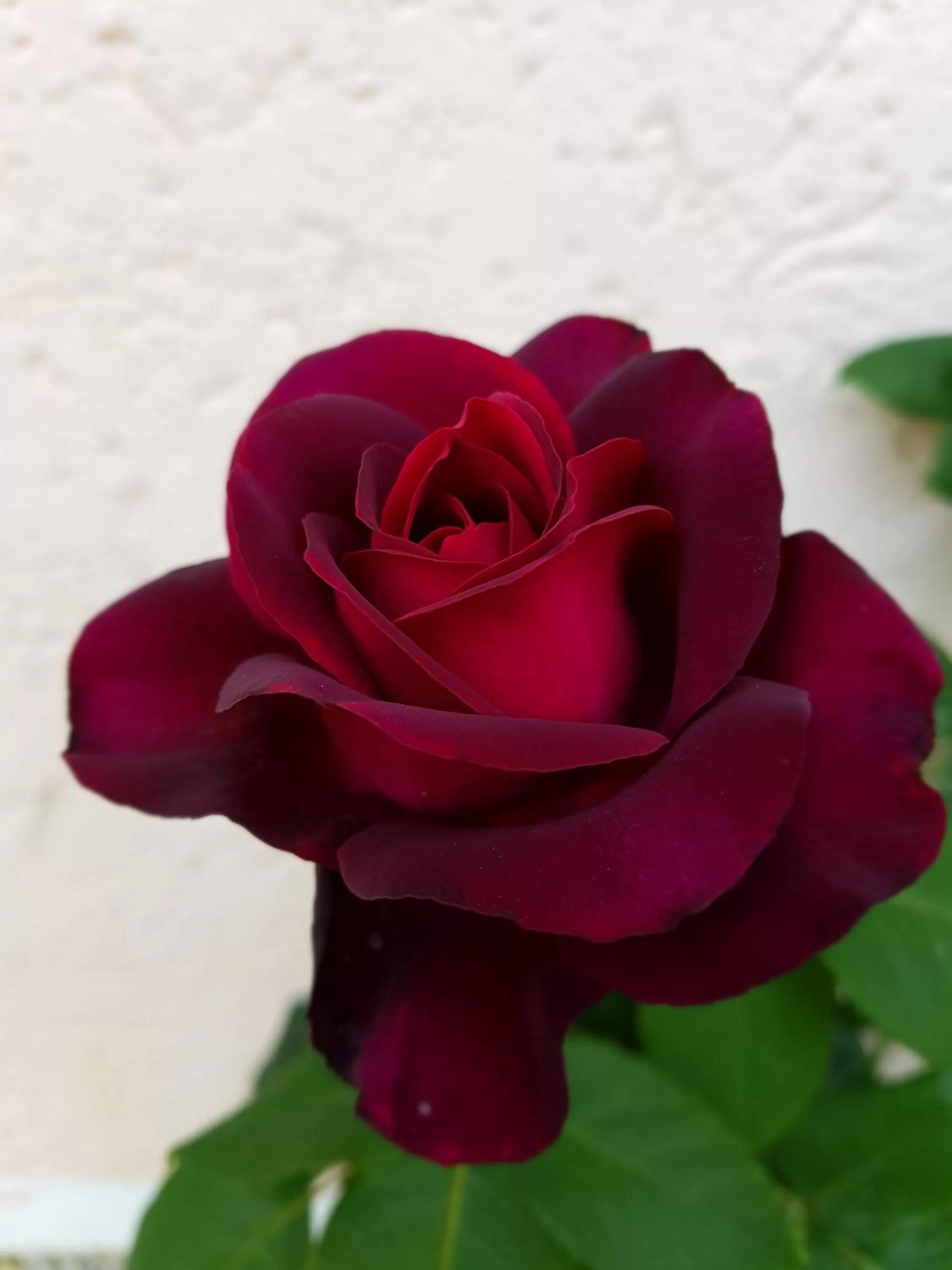 Off site in Kurhotel Anders