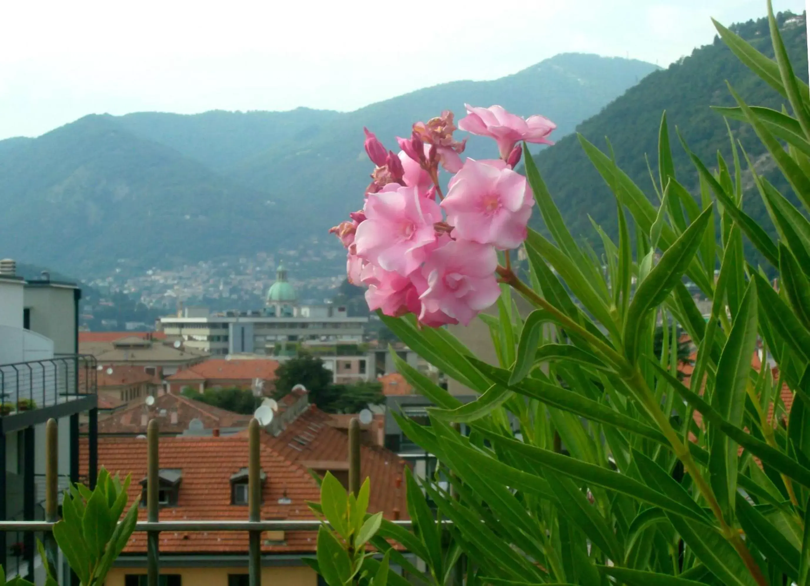 View (from property/room), Mountain View in Hotel Como