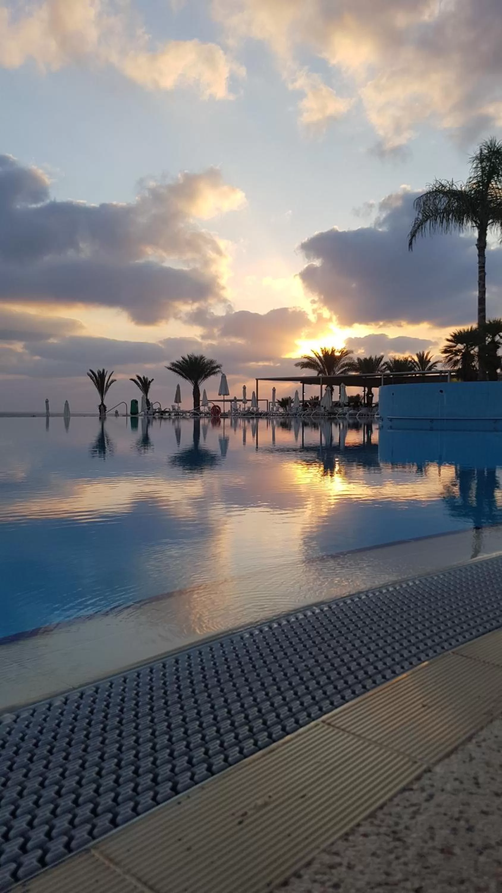 Natural landscape in King Evelthon Beach Hotel & Resort