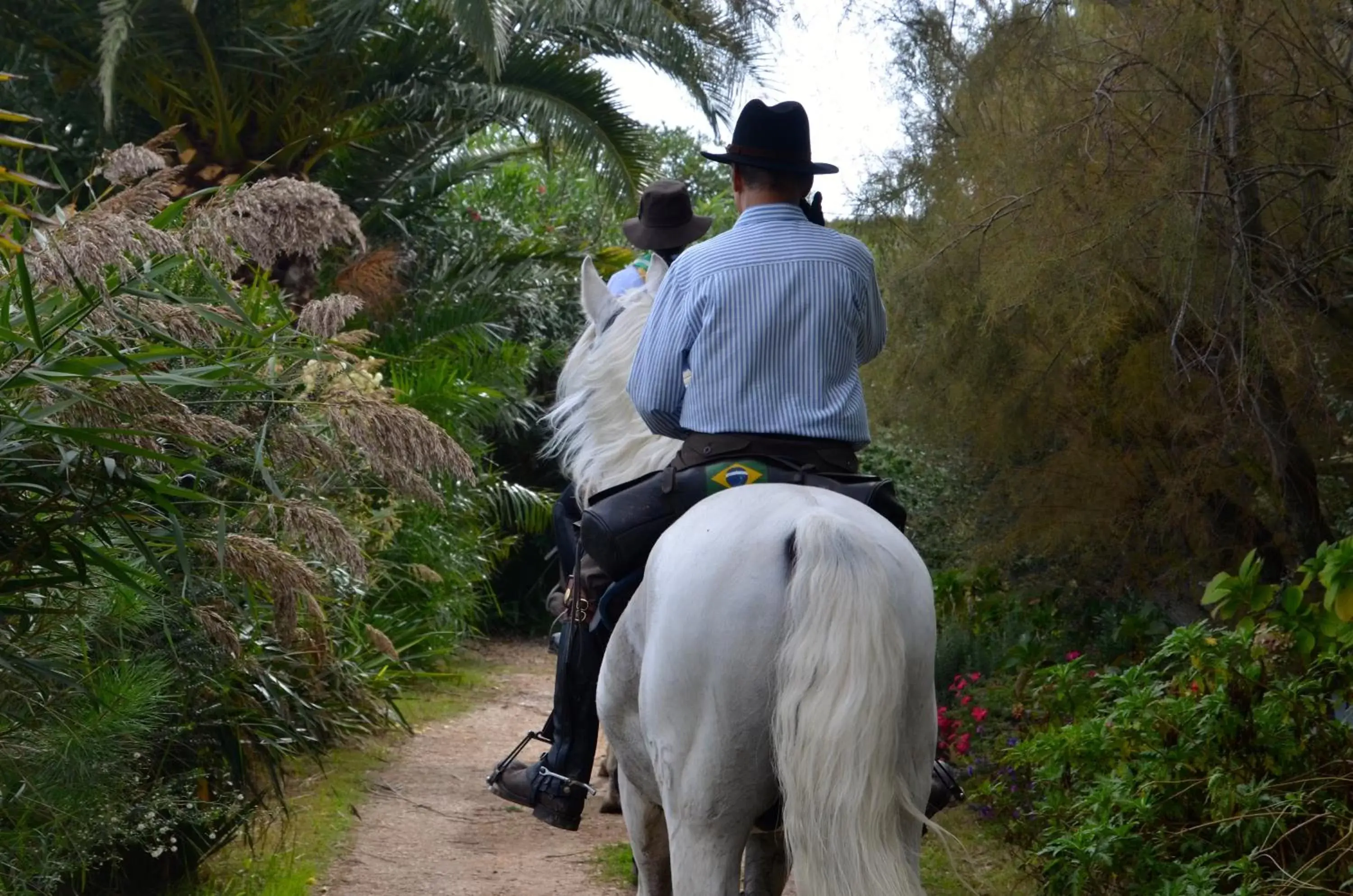 Breakfast, Horseback Riding in Mazet du Maréchal Ferrant