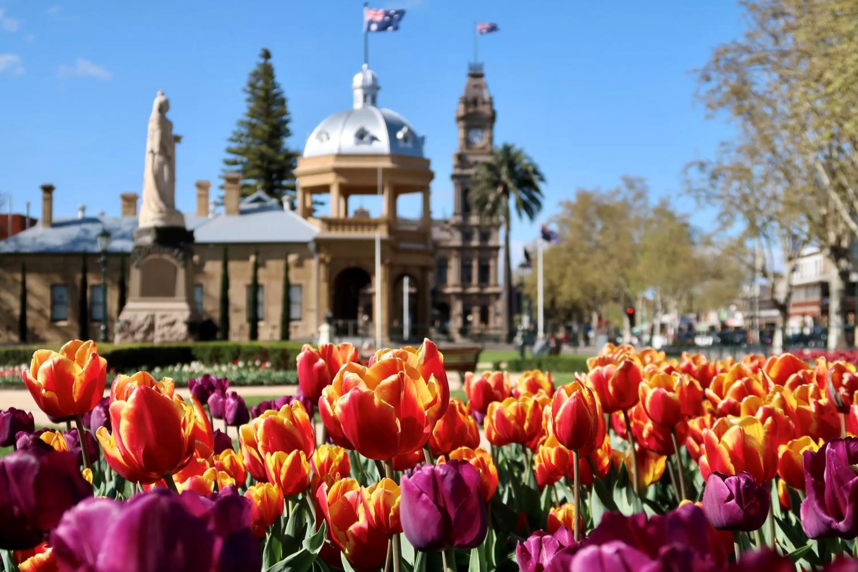 Spring in Julie-Anna, Bendigo