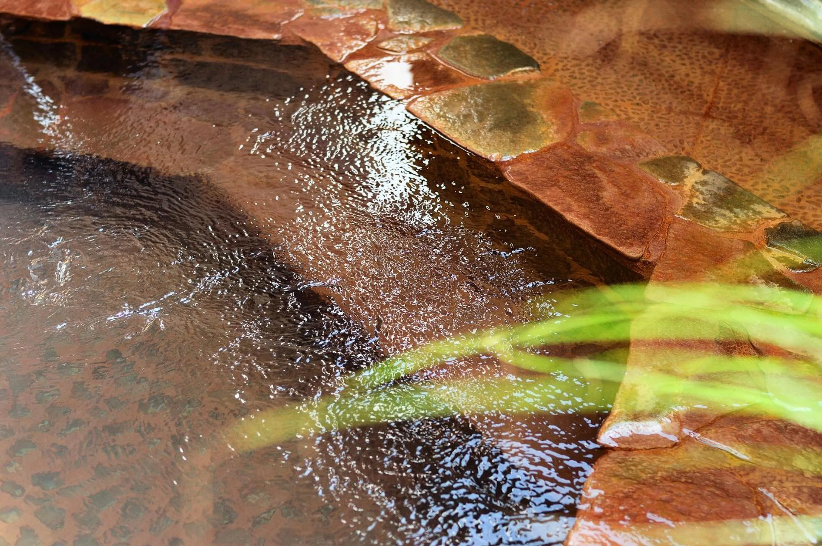Hot Spring Bath in Sakaeya