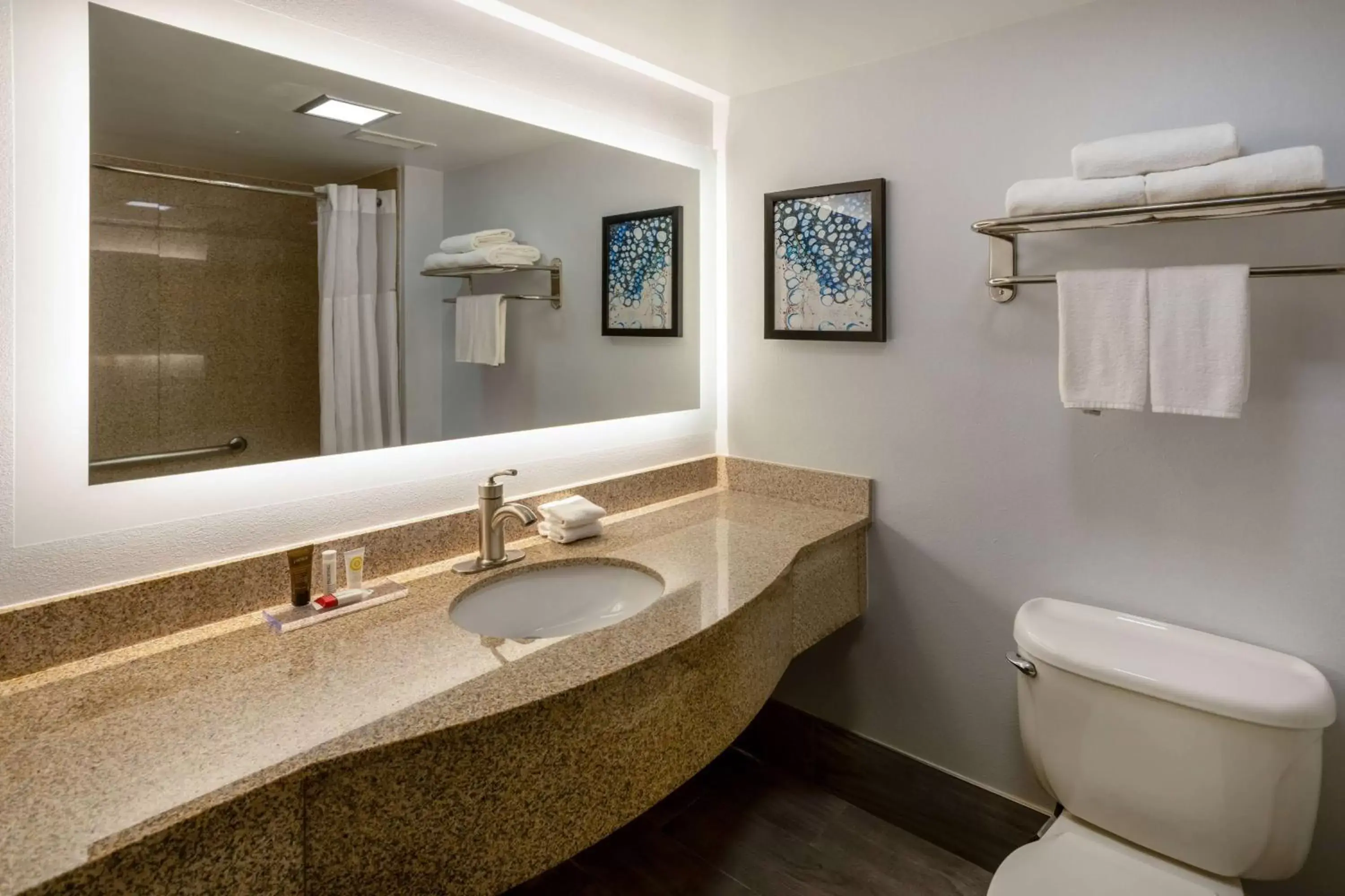 TV and multimedia, Bathroom in Wingate by Wyndham Waldorf - Washington DC Area