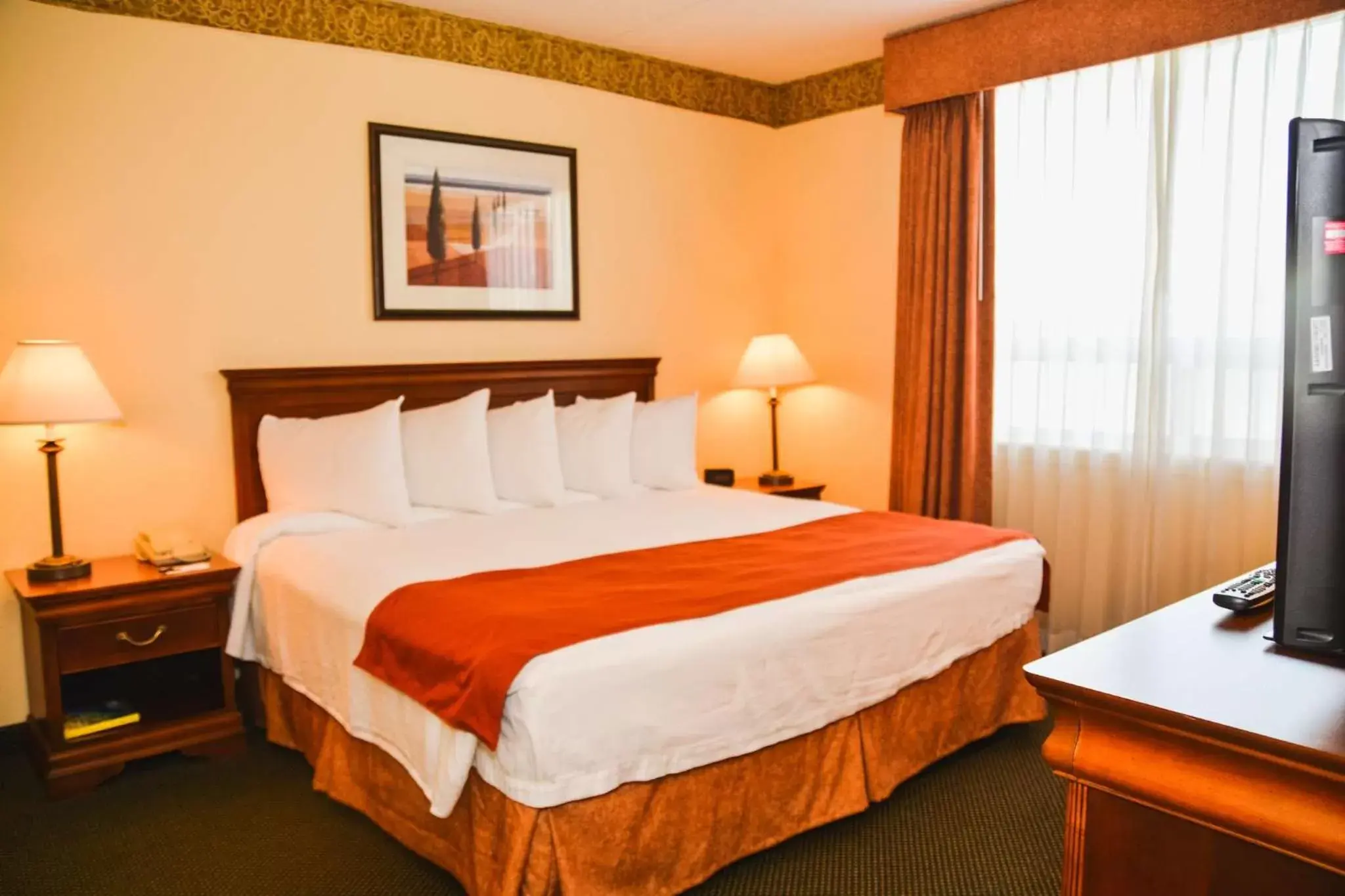 Photo of the whole room, Bed in Country Inn & Suites by Radisson, London South, ON