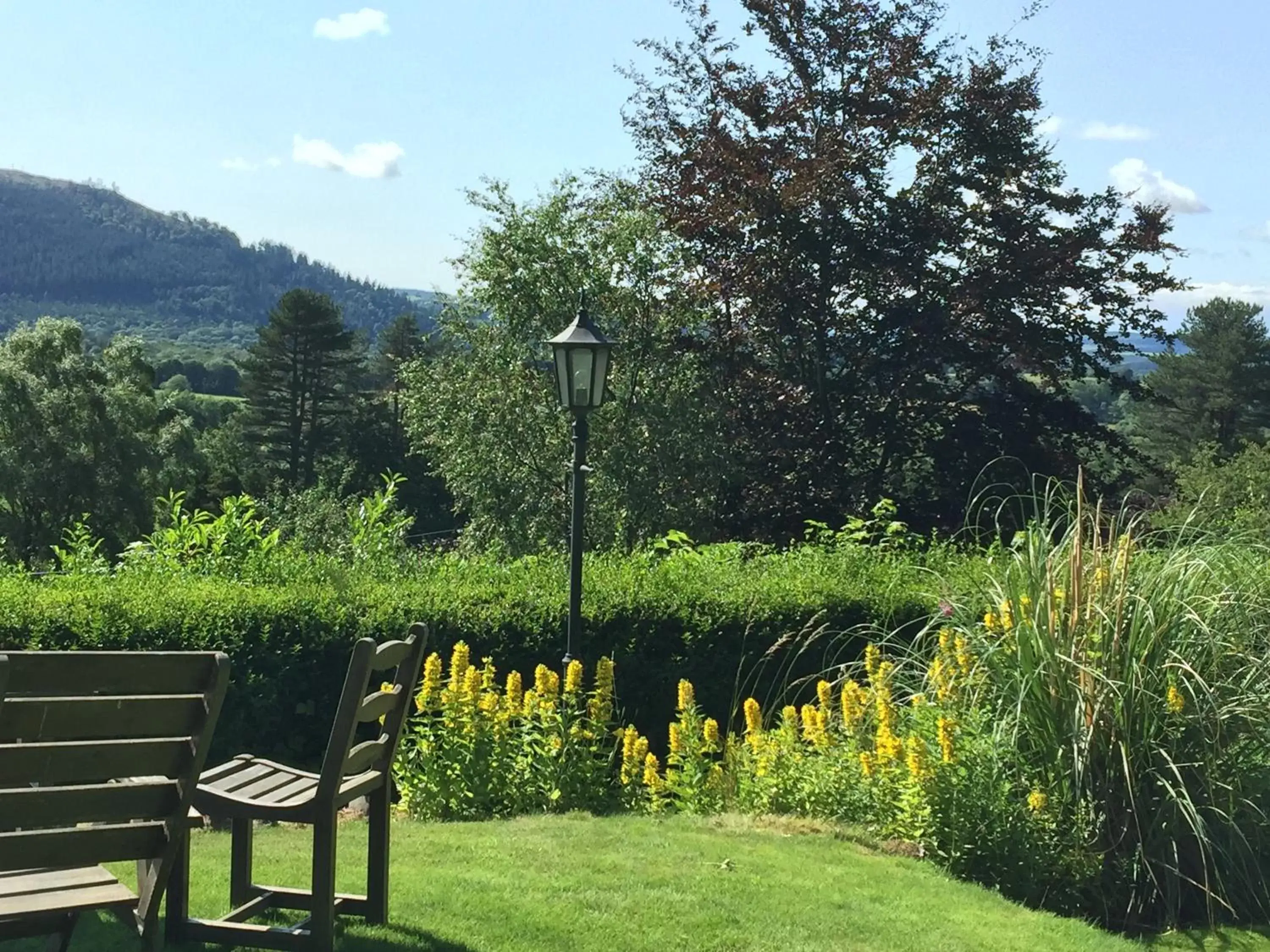 Lake view, Garden in Ravenstone Manor