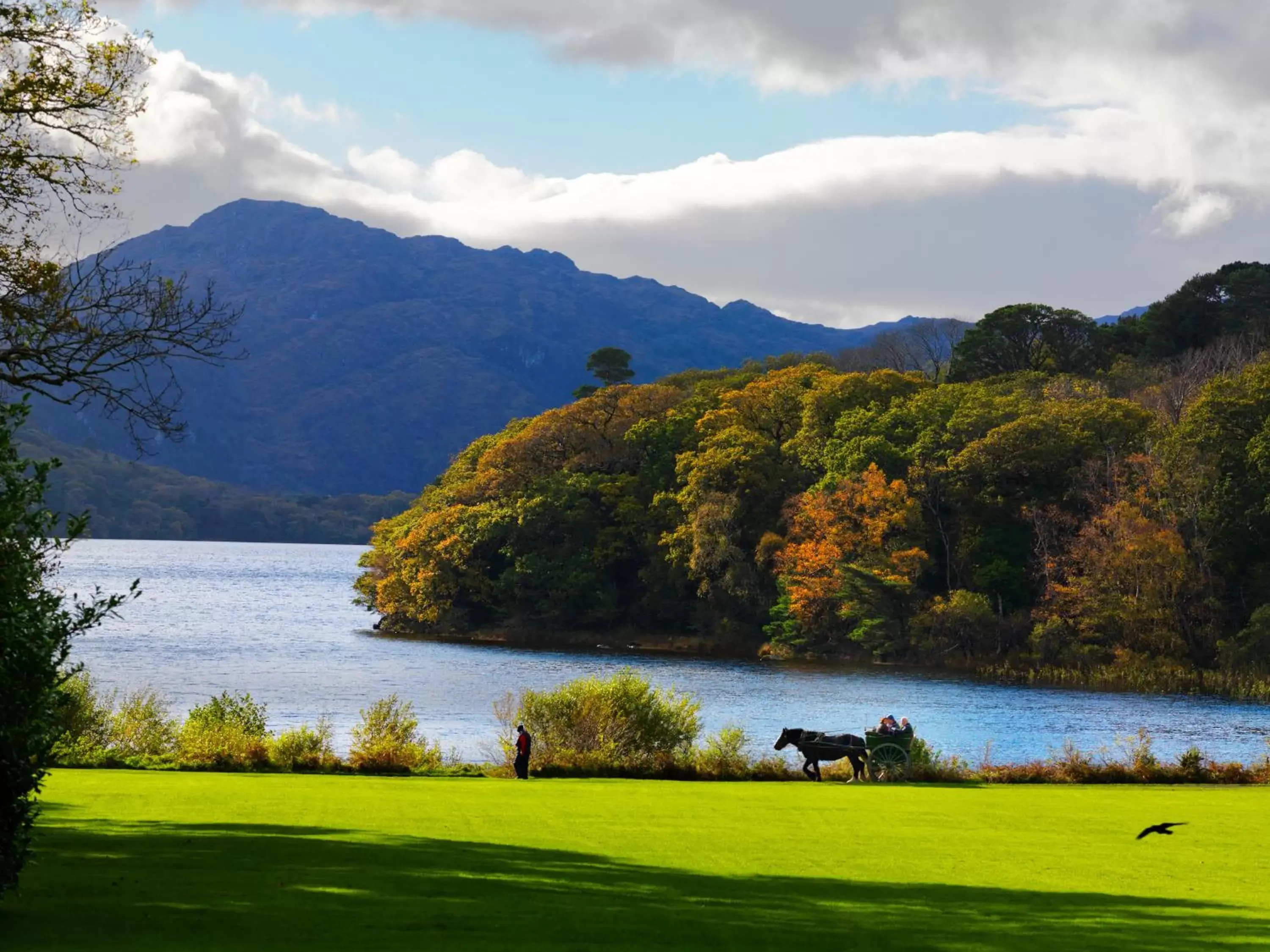 Nearby landmark, Natural Landscape in The Killarney Park