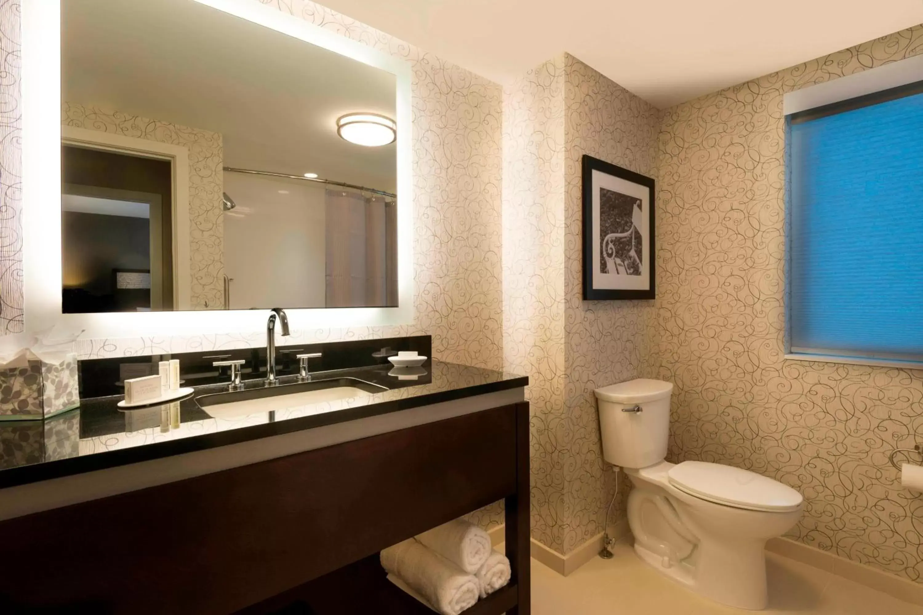 Bathroom in Residence Inn by Marriott Orangeburg