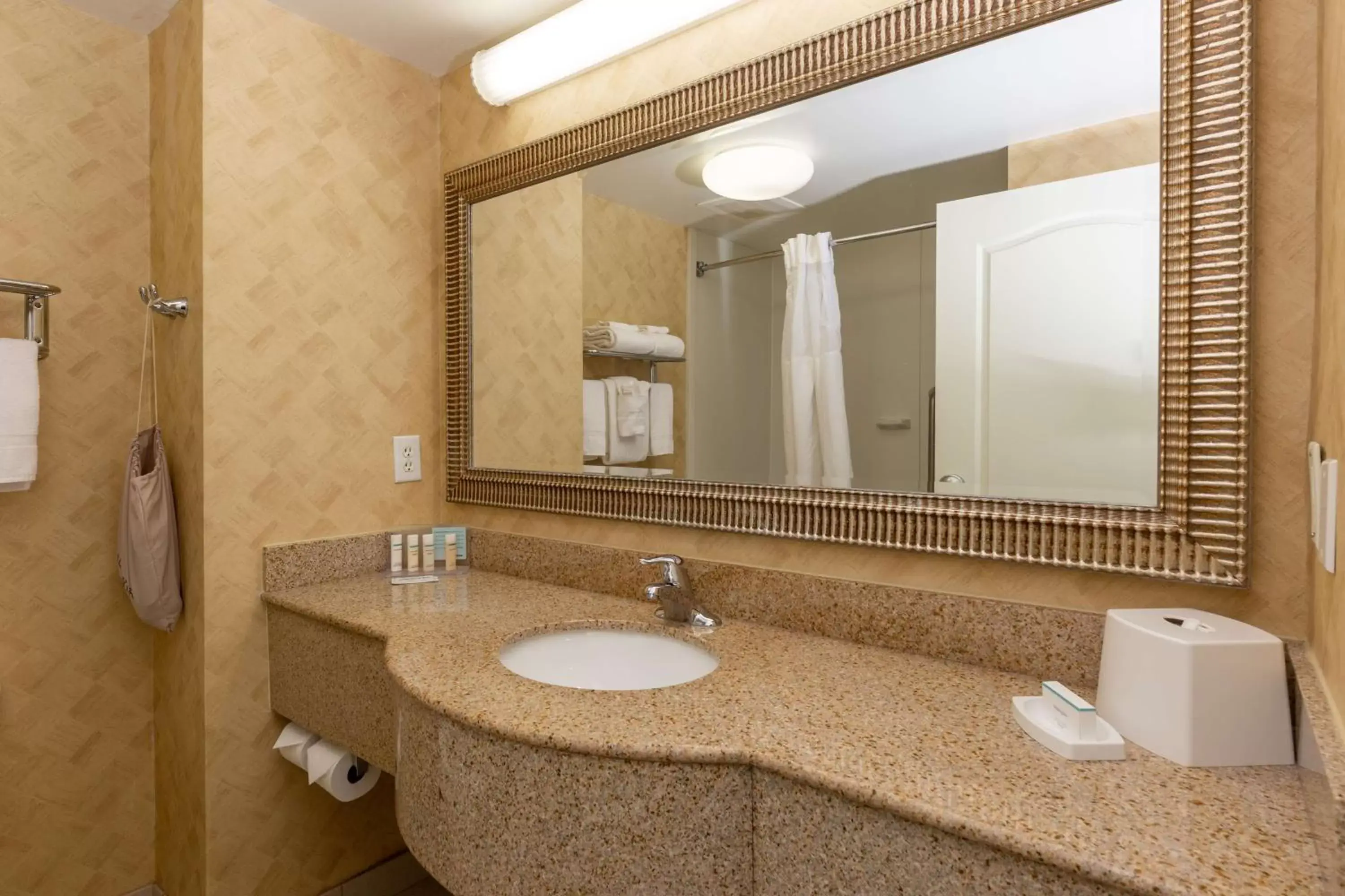 Bathroom in Hampton Inn & Suites Jacksonville Deerwood Park