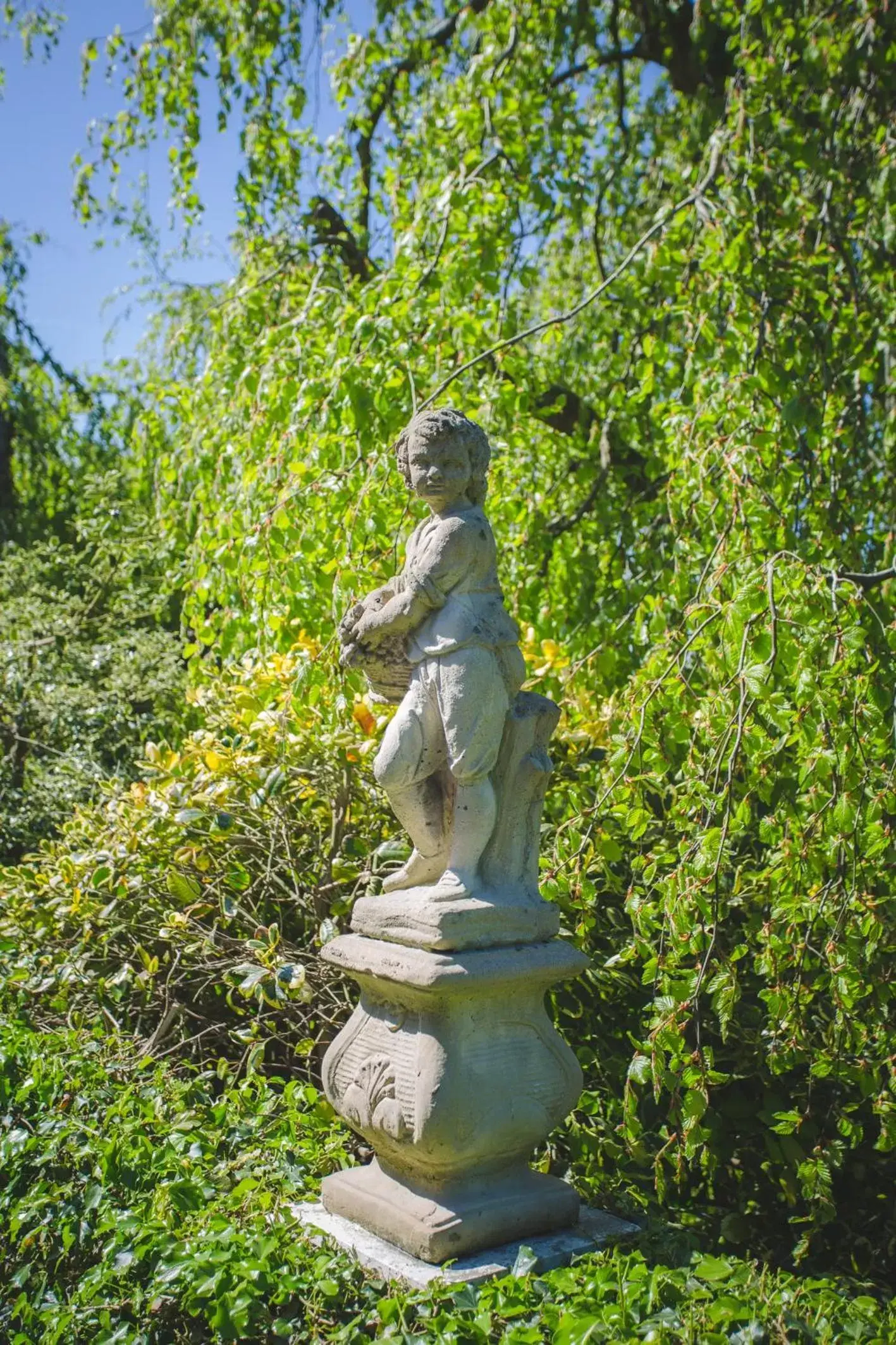 Garden in Diamond Hill Country House