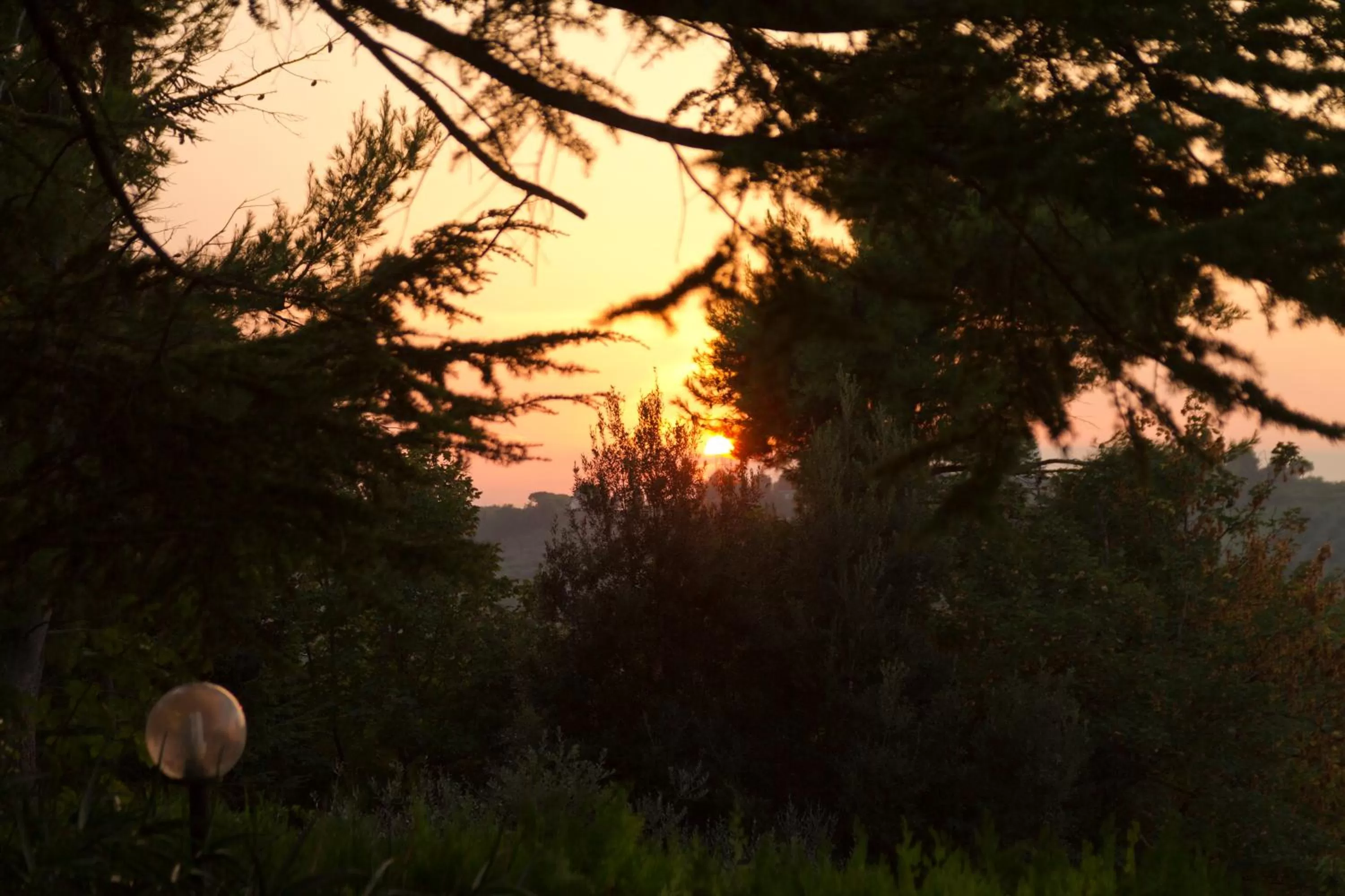 On site in B&B Azzurra