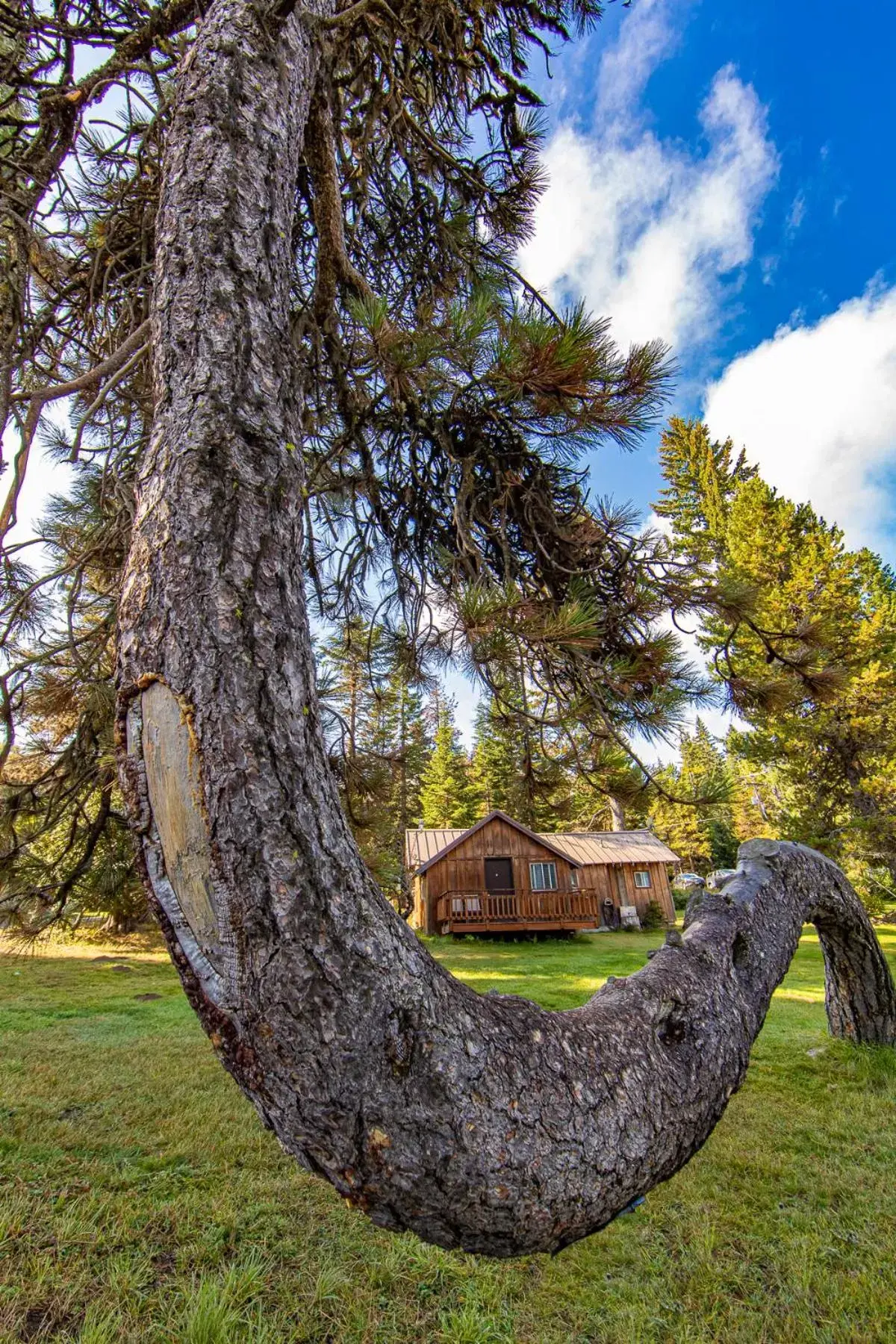 Property building, Garden in Cooper Spur Mountain Resort