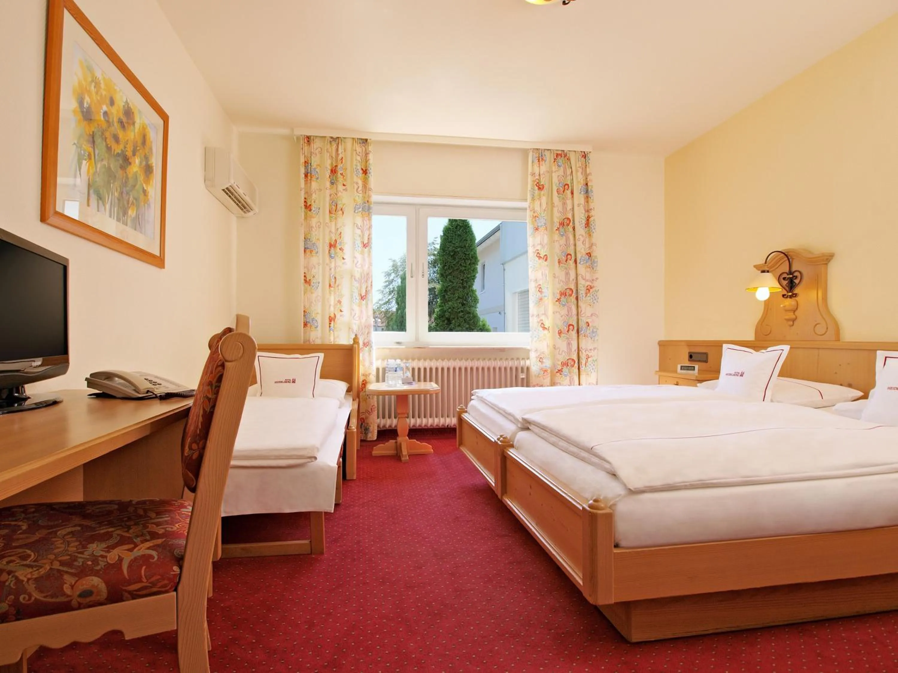 Photo of the whole room in Hotel Heidelberg