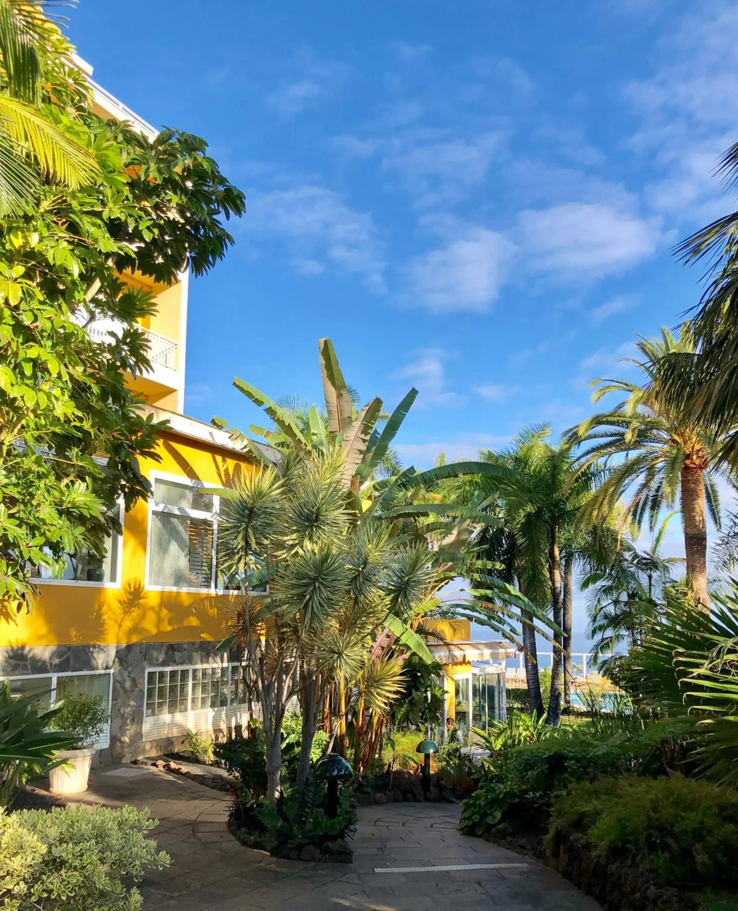 Garden, Property Building in Hotel Tigaiga