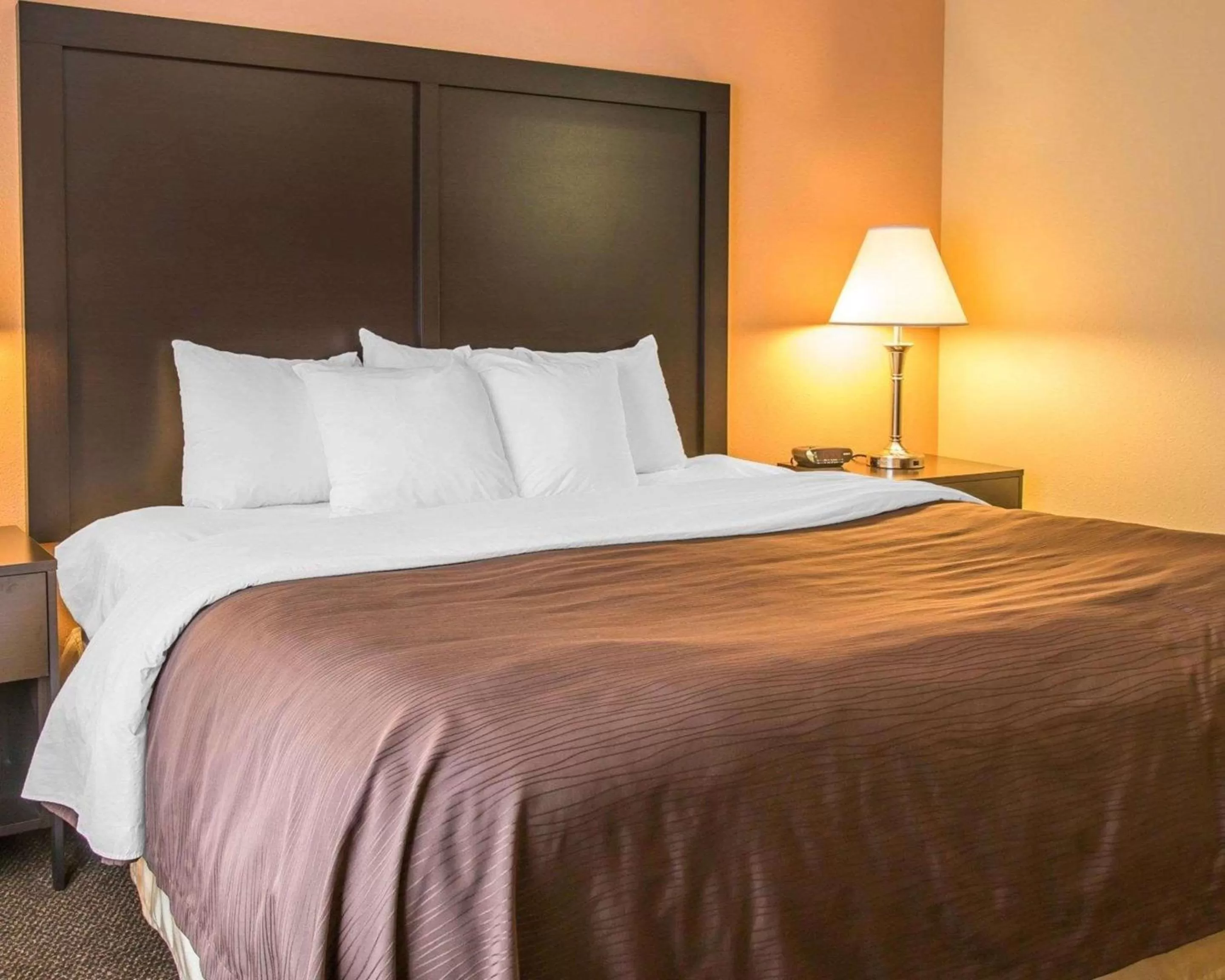 Bedroom, Bed in Quality Inn & Suites Niles