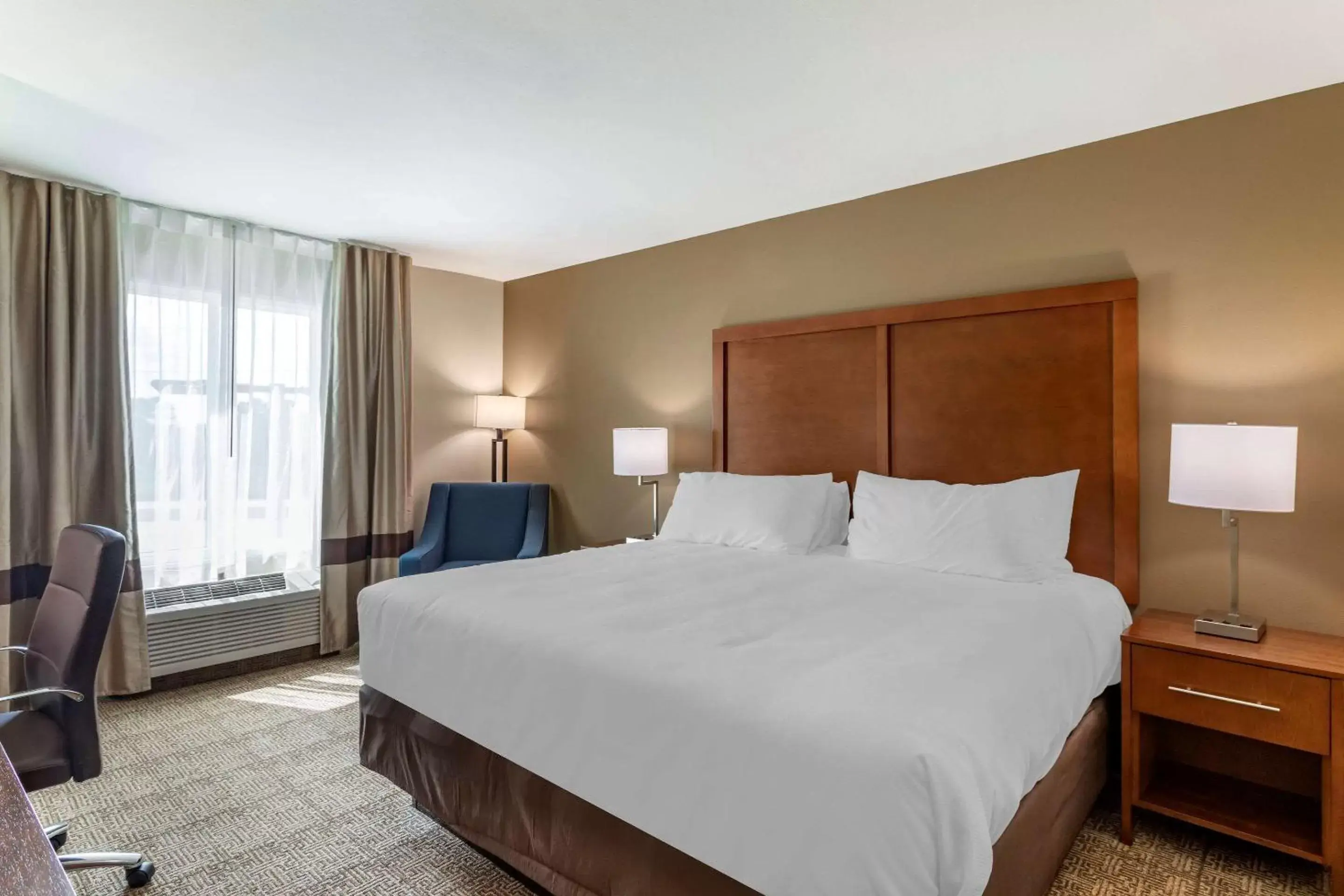 Photo of the whole room, Bed in Comfort Inn & Suites Waller Photo of the whole room, Bed in Comfort Inn & Suites Waller