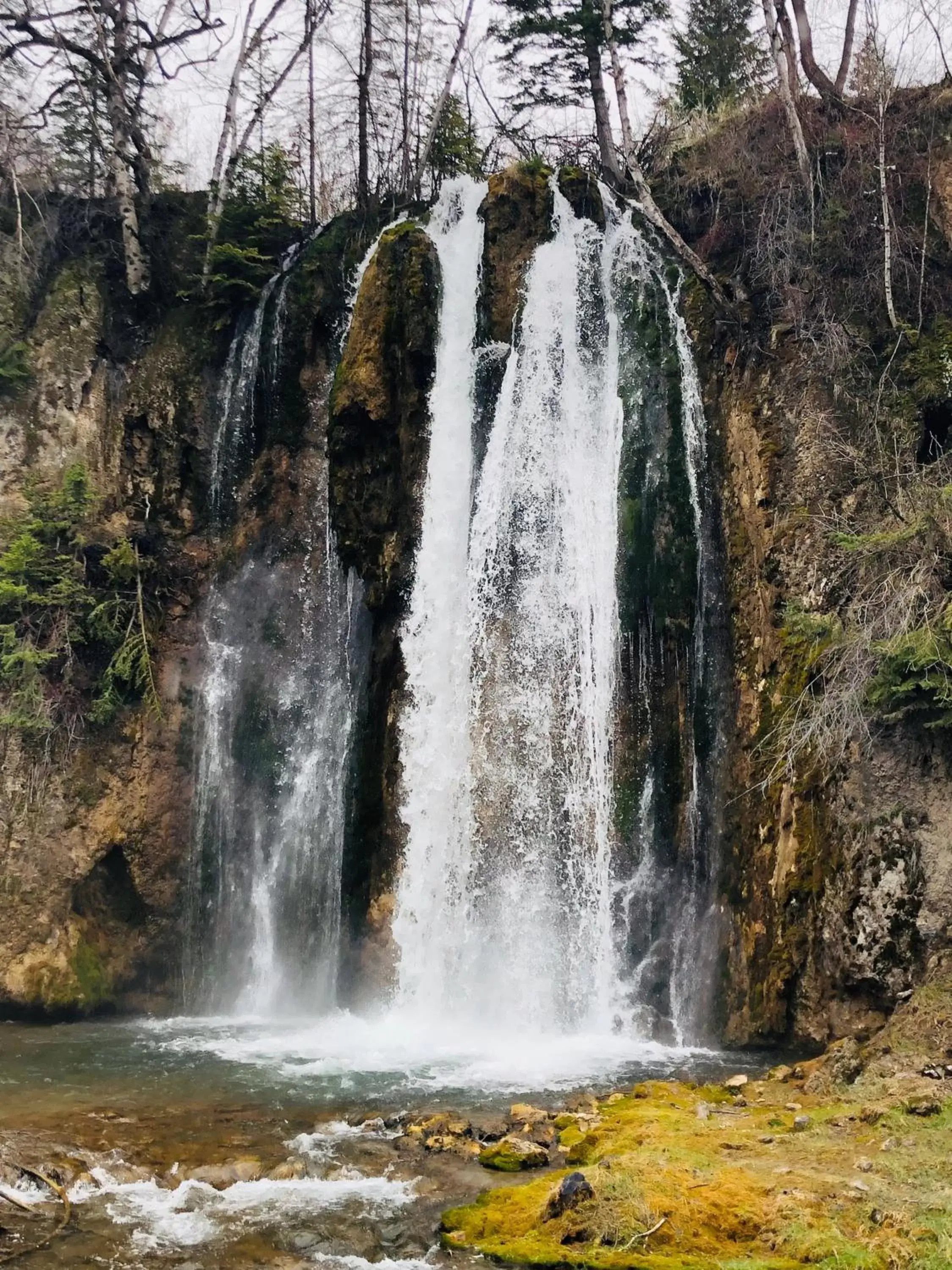 Natural landscape in Spearfish Canyon Lodge