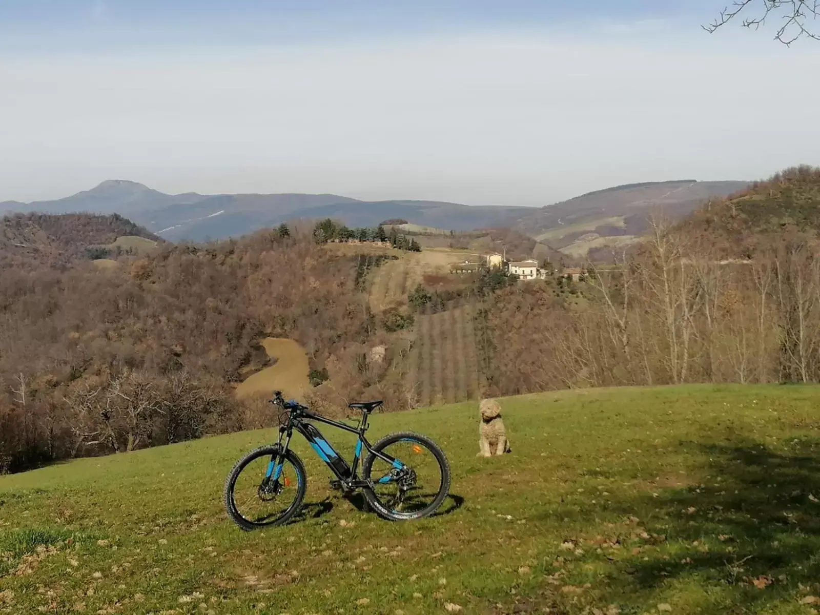 Biking in Il Castagneto