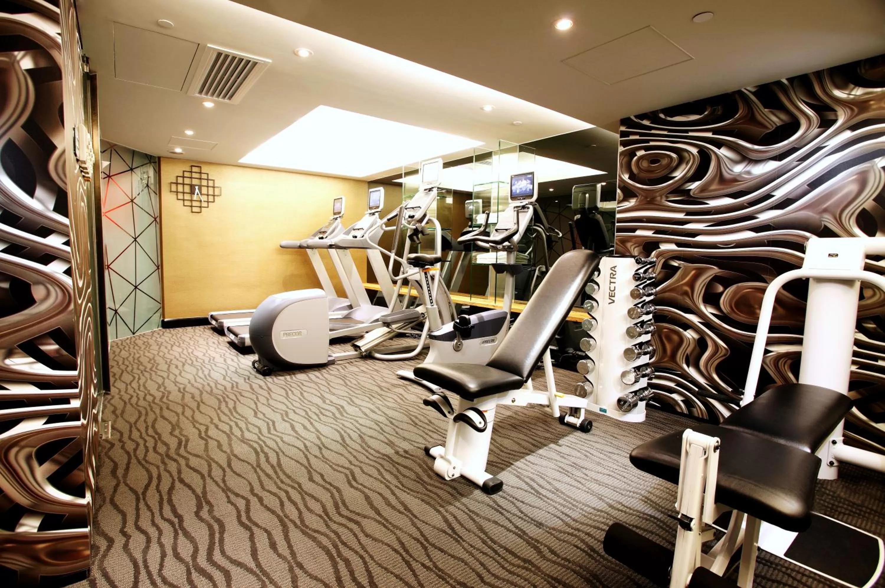 Fitness centre/facilities in The Luxe Manor