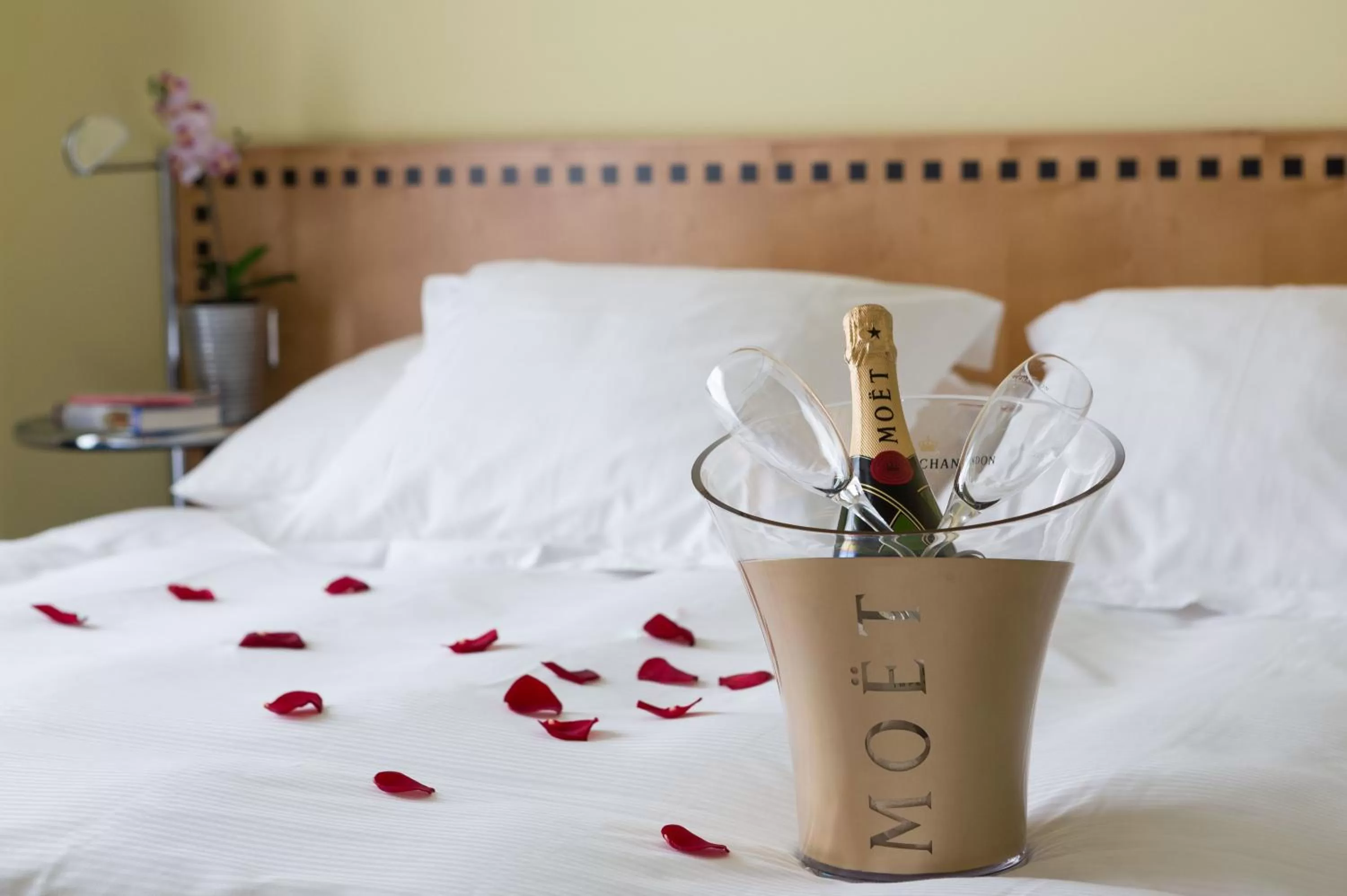 Alcoholic drinks, Bed in GLANDON Rooms Elite