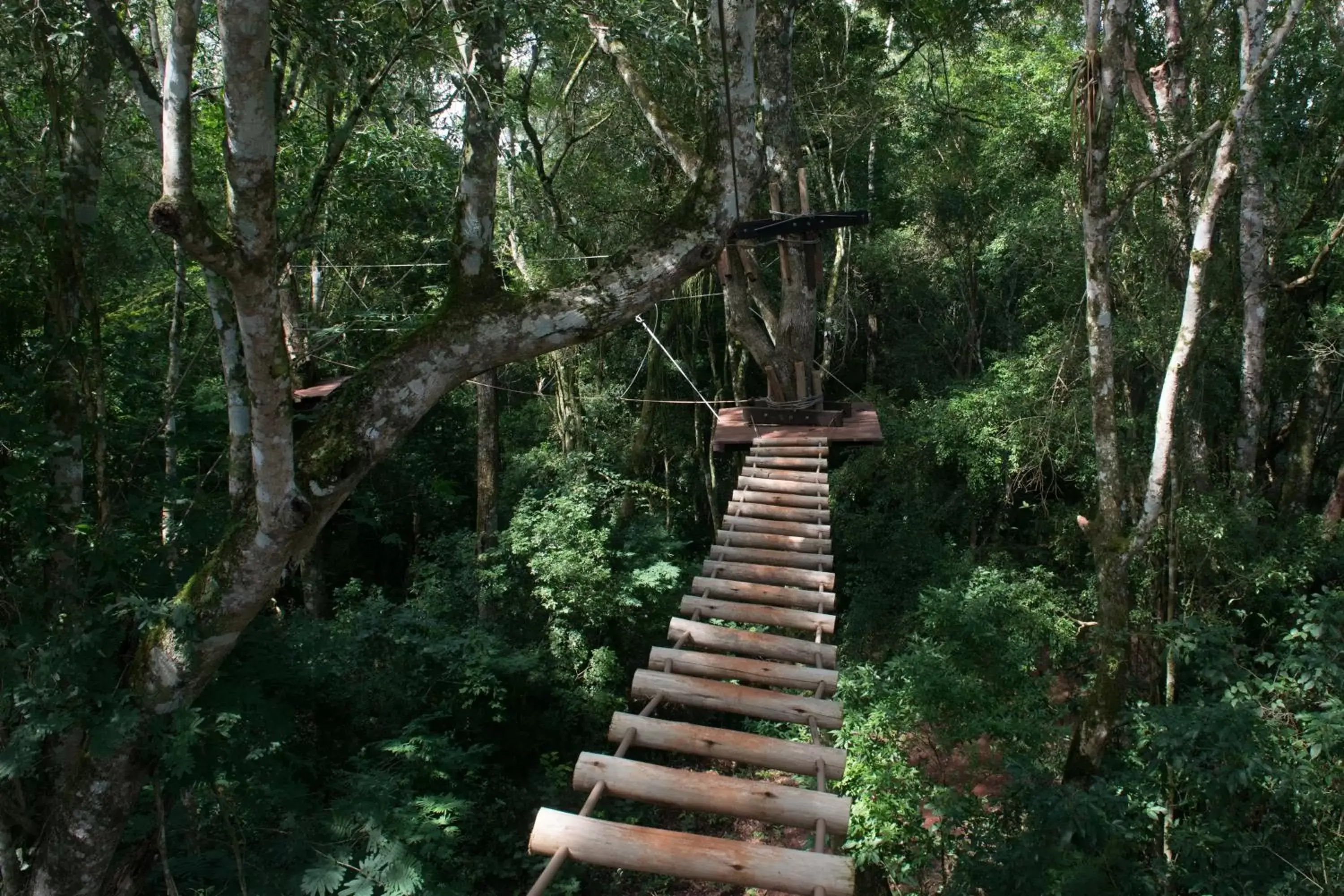 Hiking in Wish Foz do Iguaçu