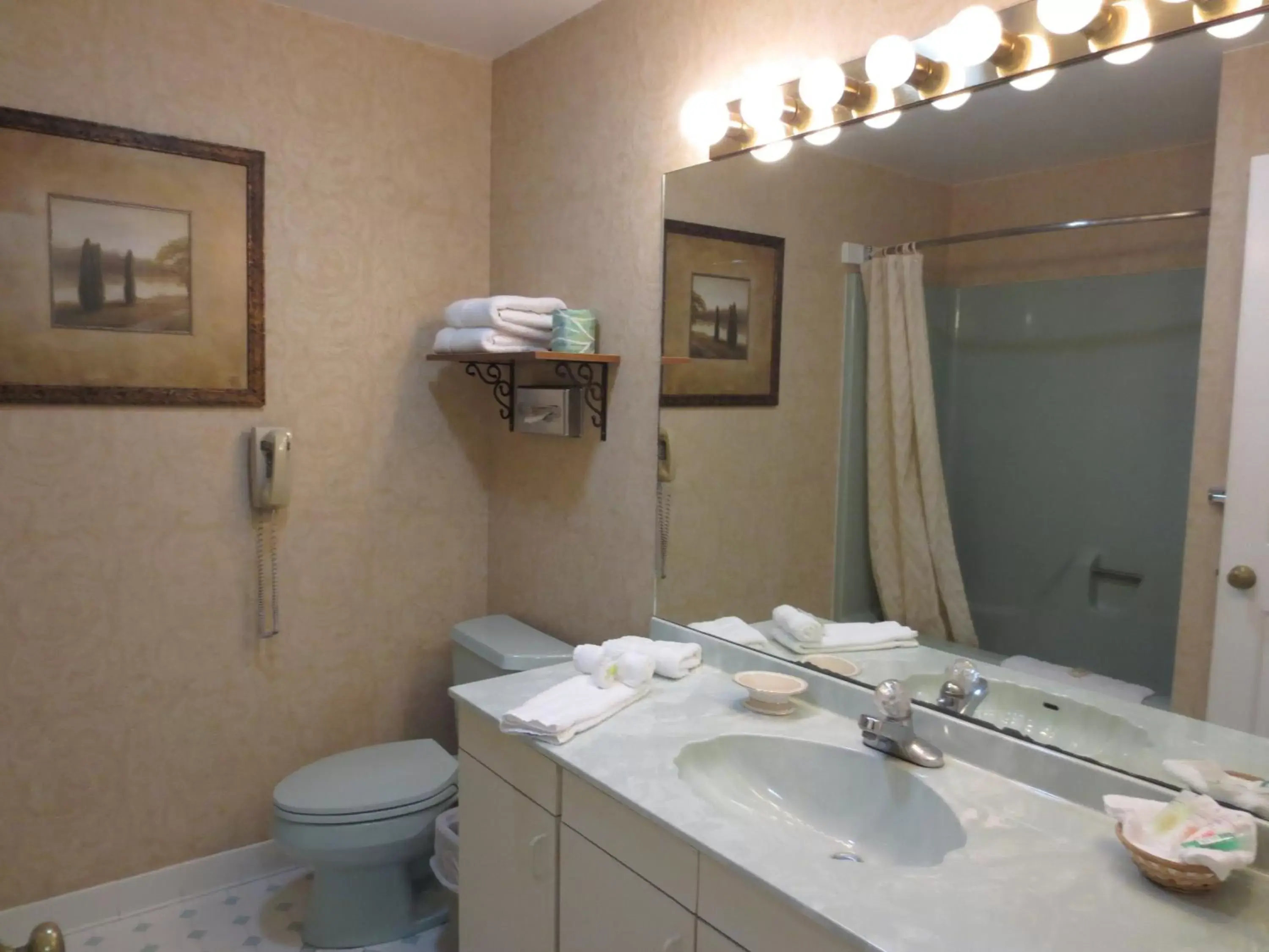Toilet, Bathroom in Roosevelt Inn & Suites Saratoga Springs