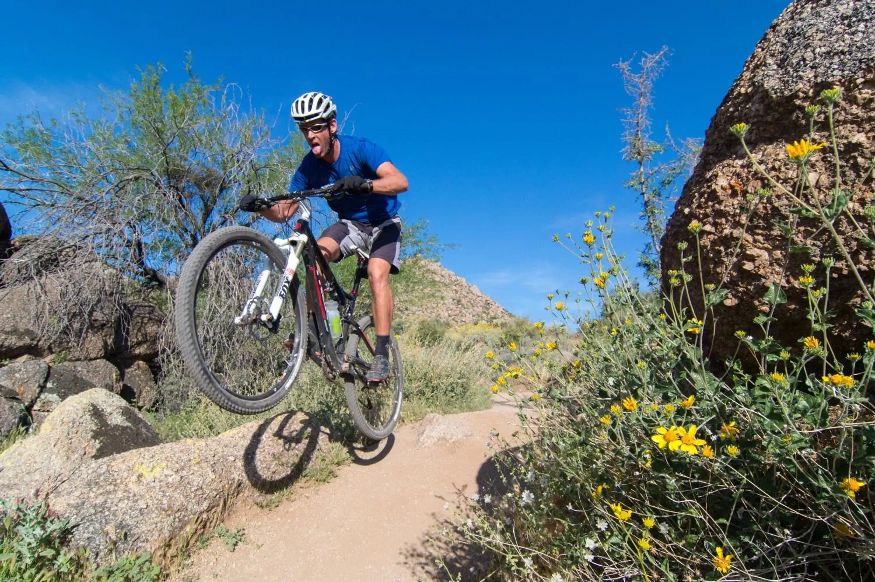 Other, Biking in Holiday Inn Express & Suites - Phoenix - Airport North, an IHG Hotel