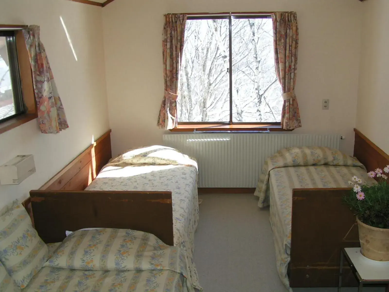 Photo of the whole room, Bed in Madarao Elm Pension