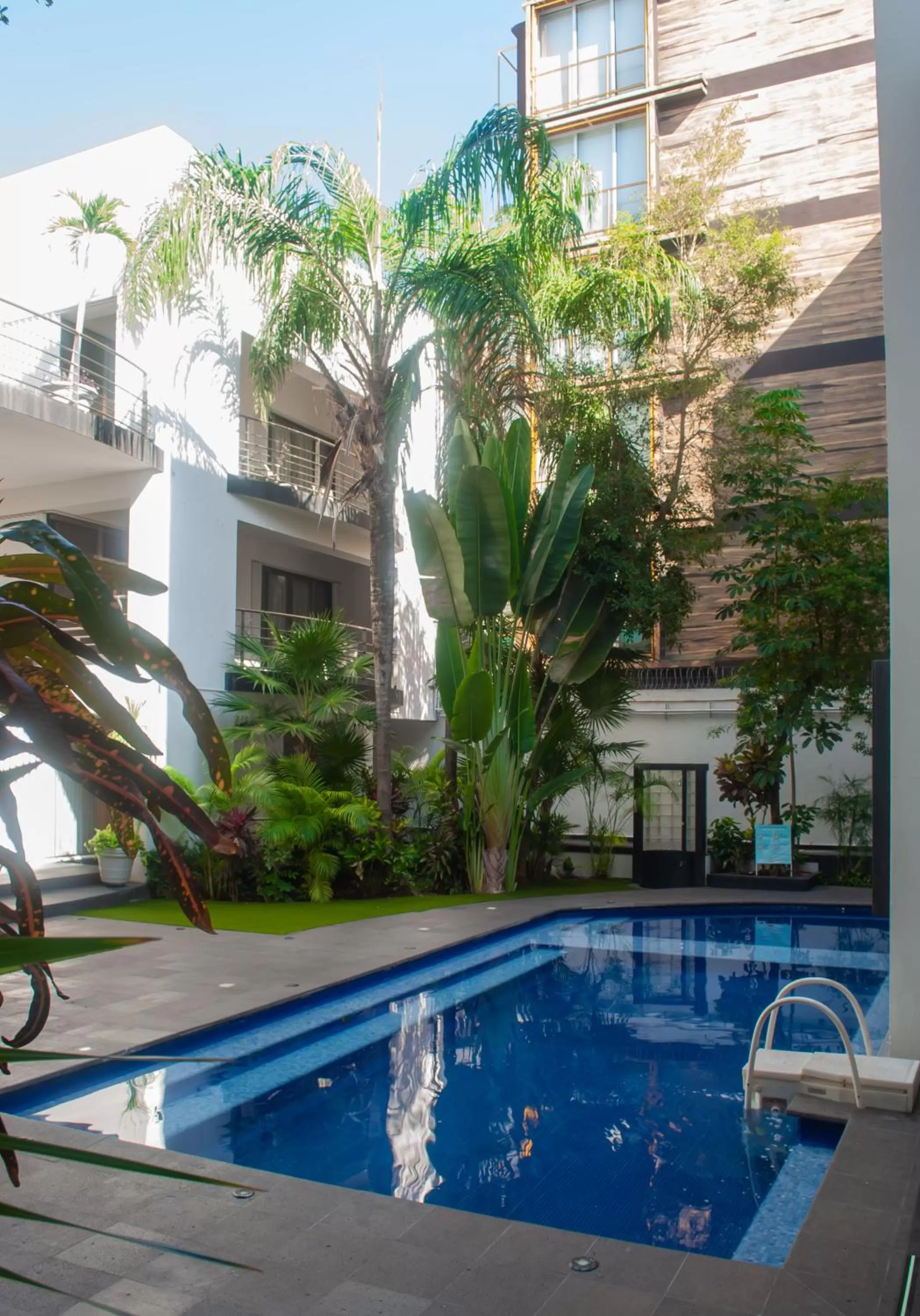 Pool view, Swimming Pool in Dangelos Hotel on Fifth Avenue