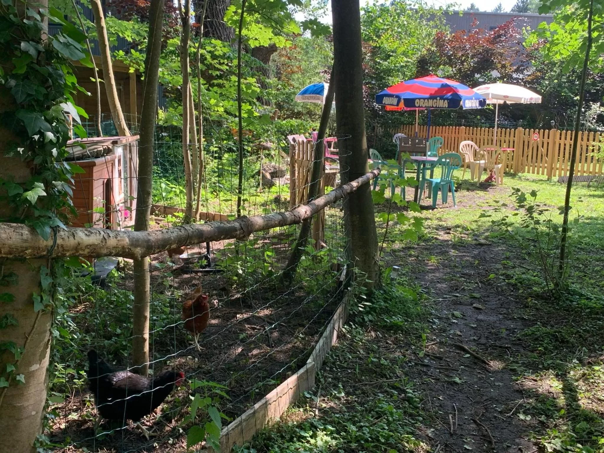 Garden view in La Caronnière