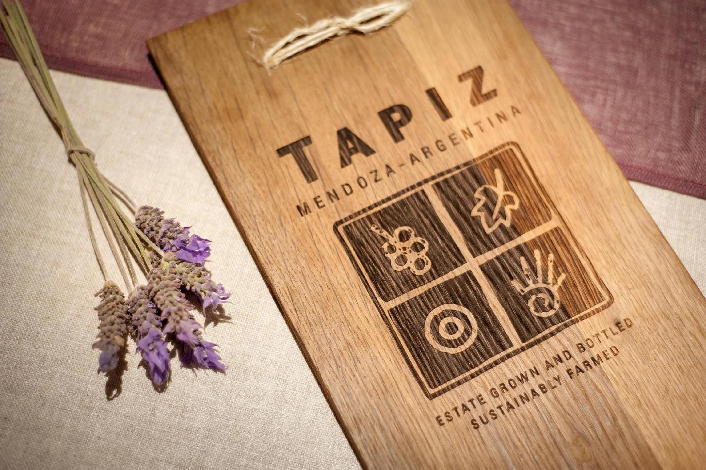 Logo/Certificate/Sign in Club Tapiz
