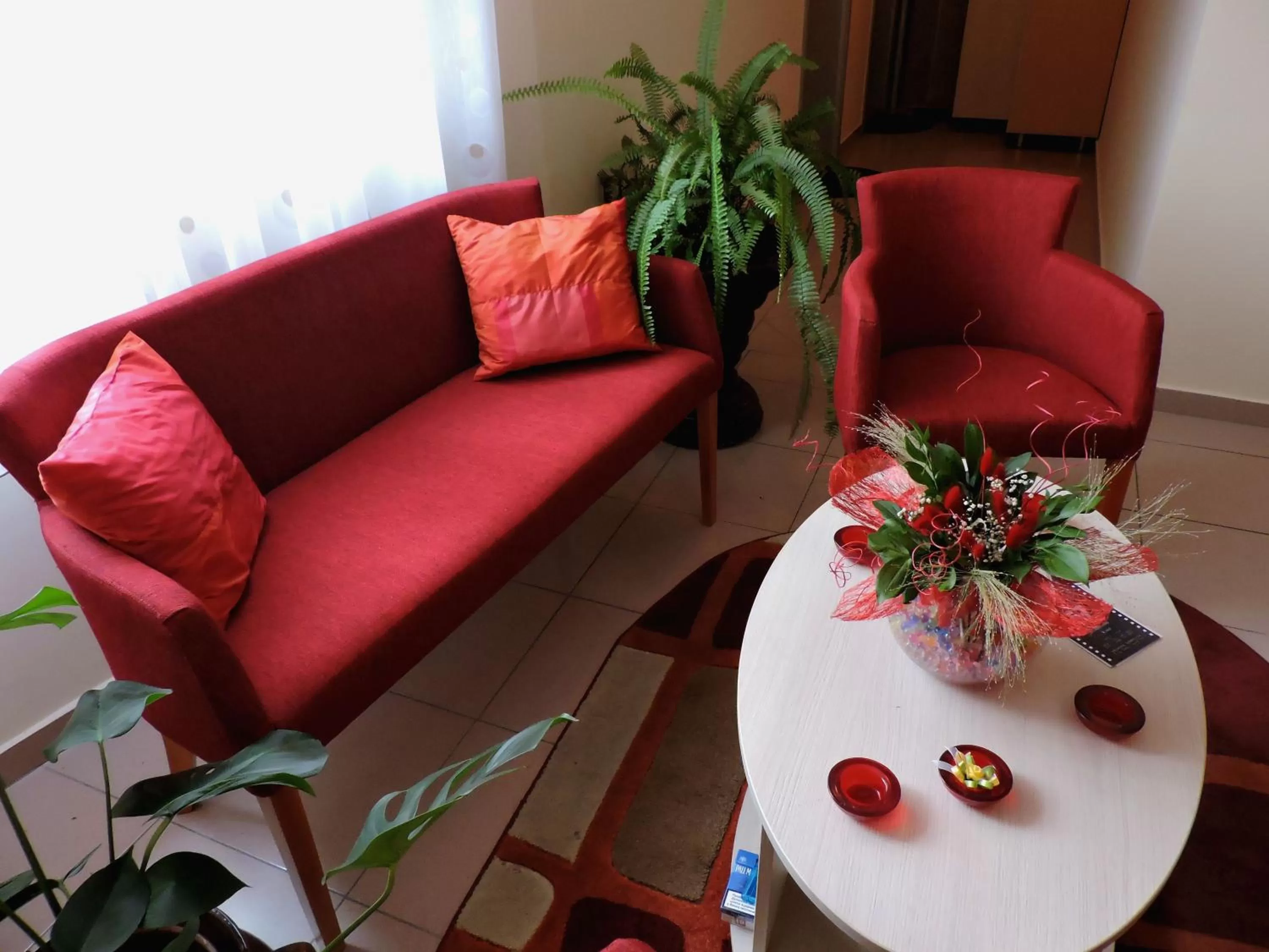 Communal lounge/ TV room in B&B Zmajevo Gnezdo 021