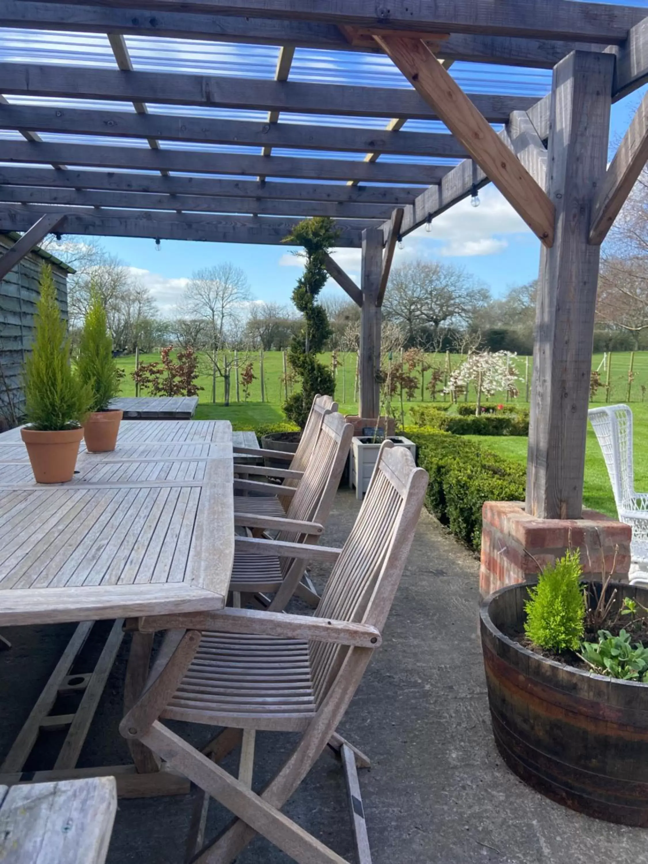 Spring in Abbey Green Farm