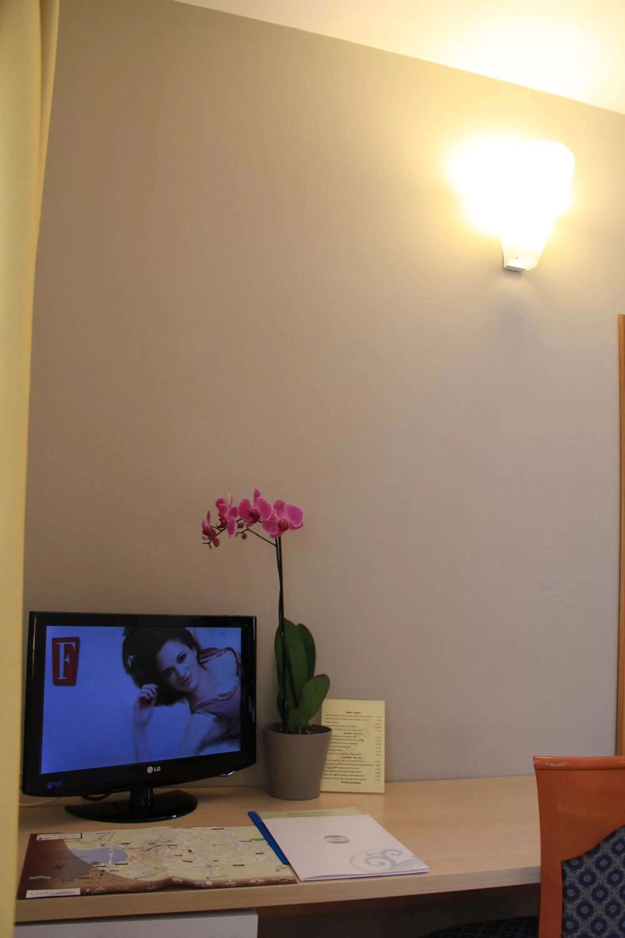 TV and multimedia in Lizard Hotel