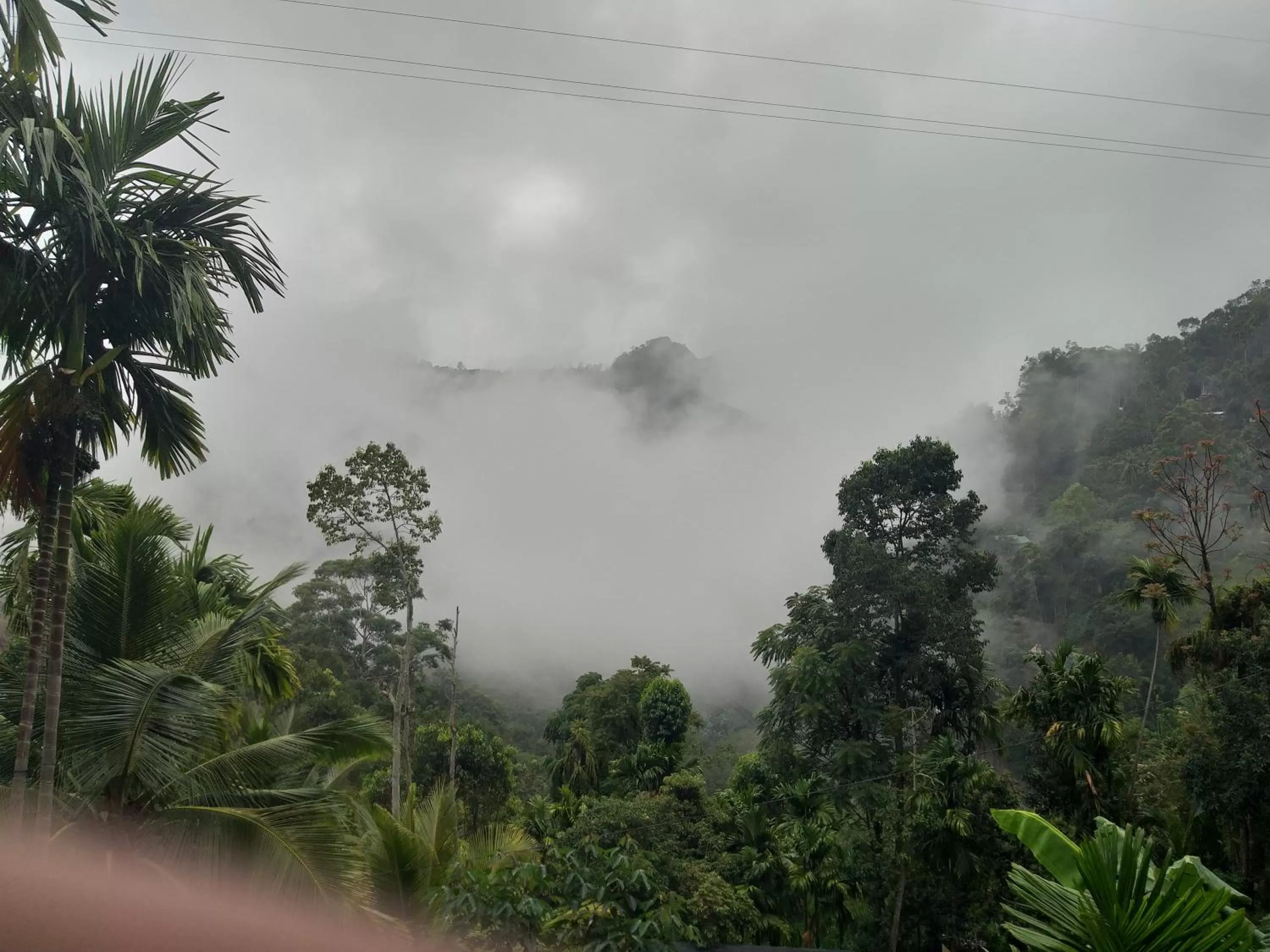 Mountain view in Different View