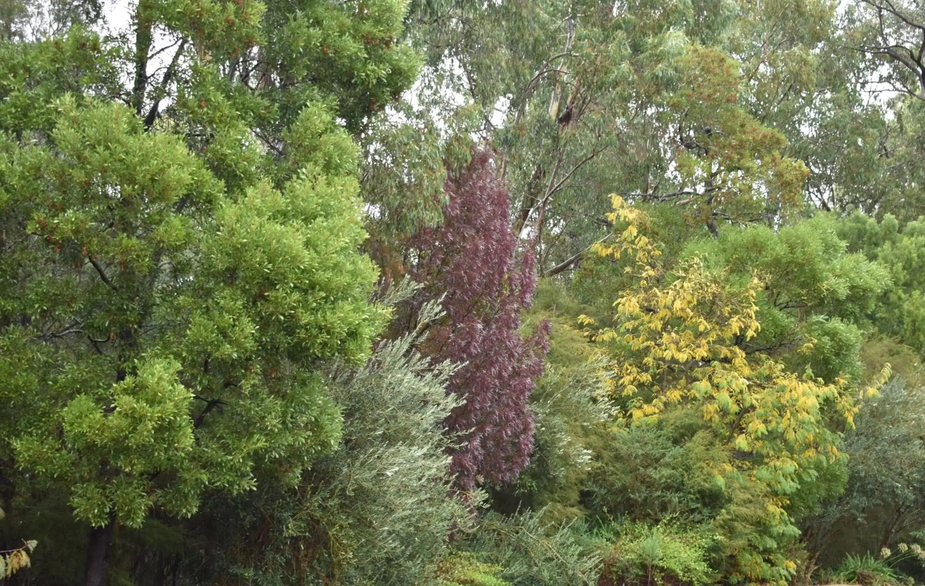 Natural Landscape in Sanctuary House Resort Motel