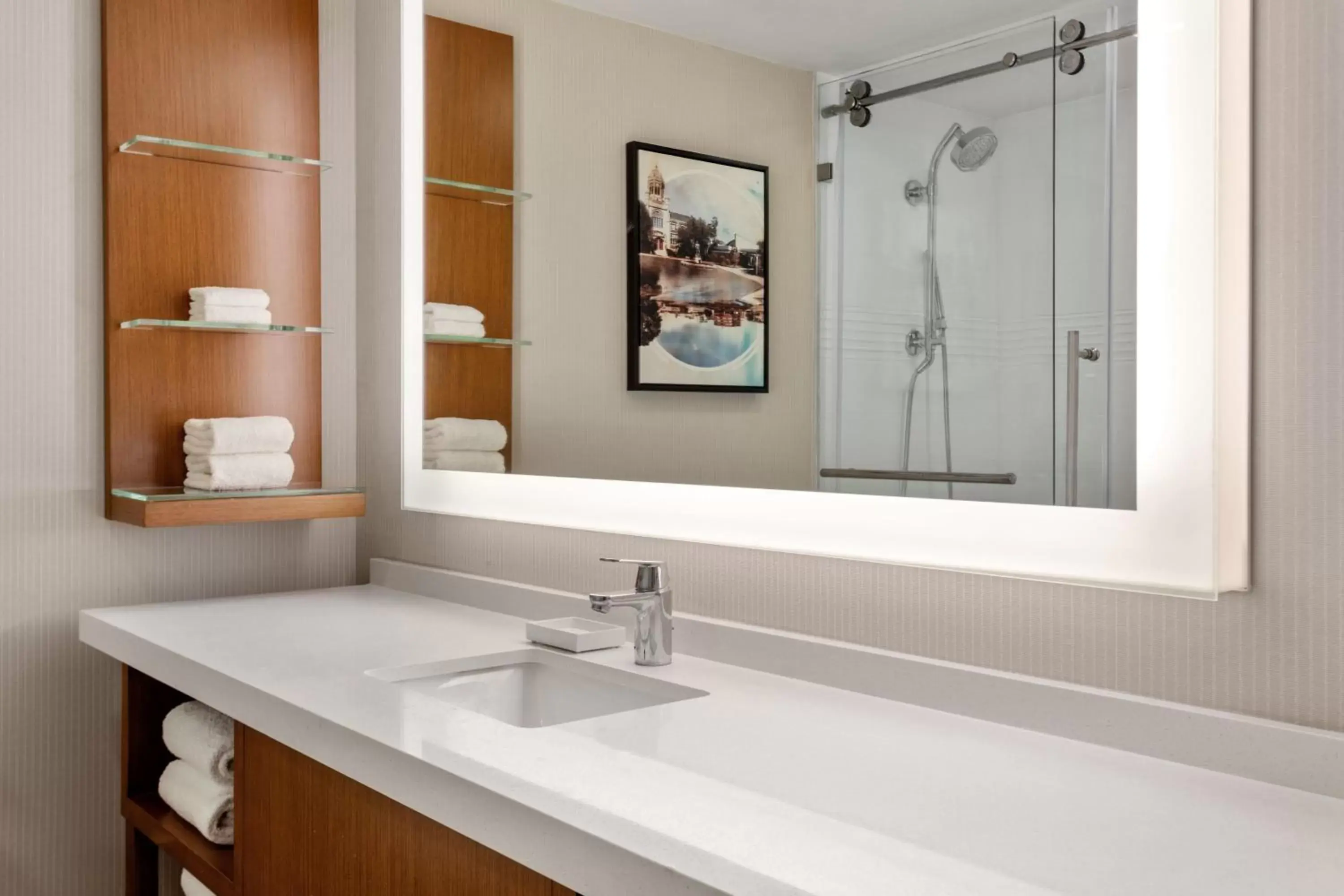 Bathroom in Delta Hotels by Marriott Allentown Lehigh Valley