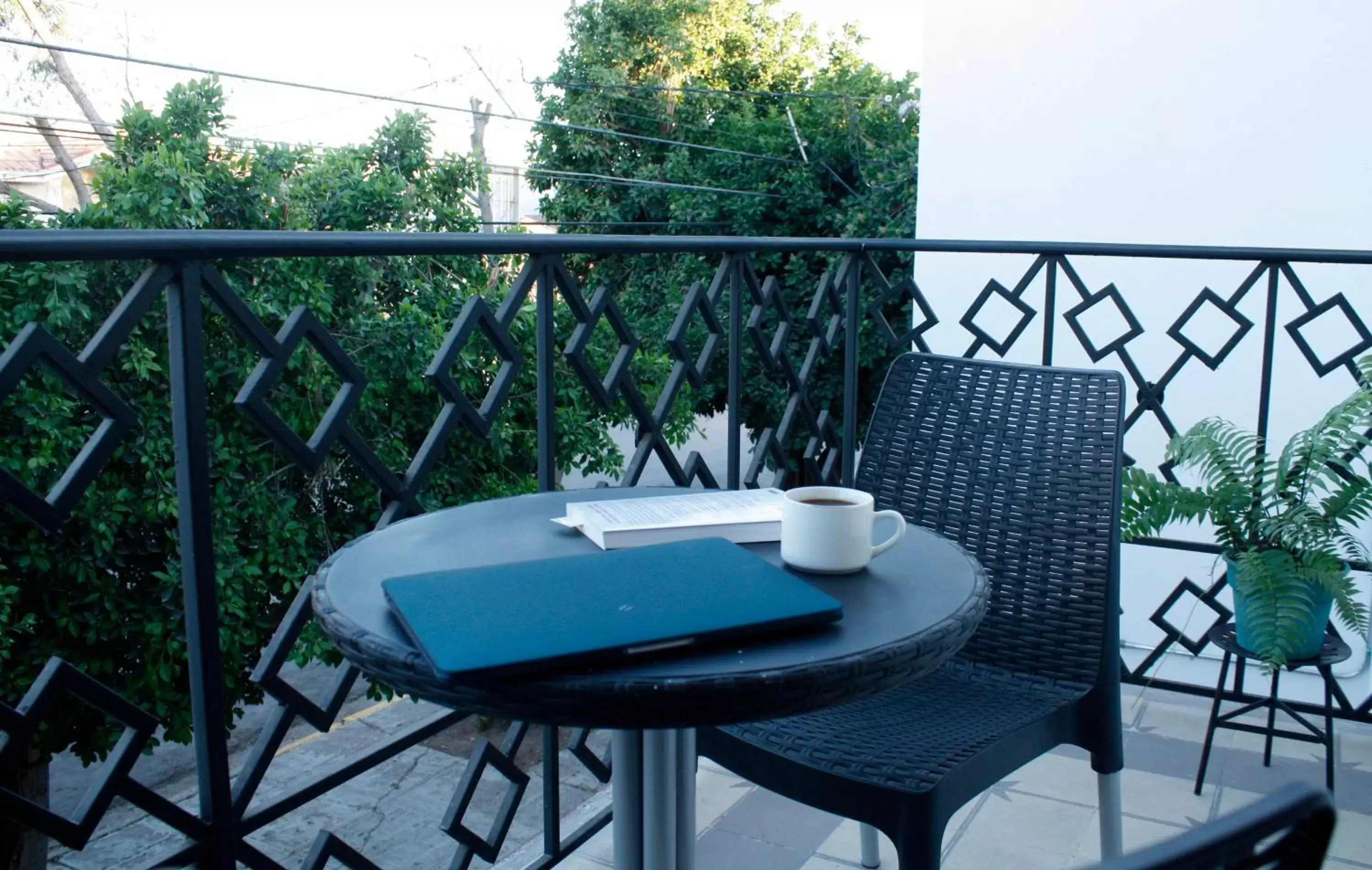 Balcony/Terrace in Hotel del Bosque