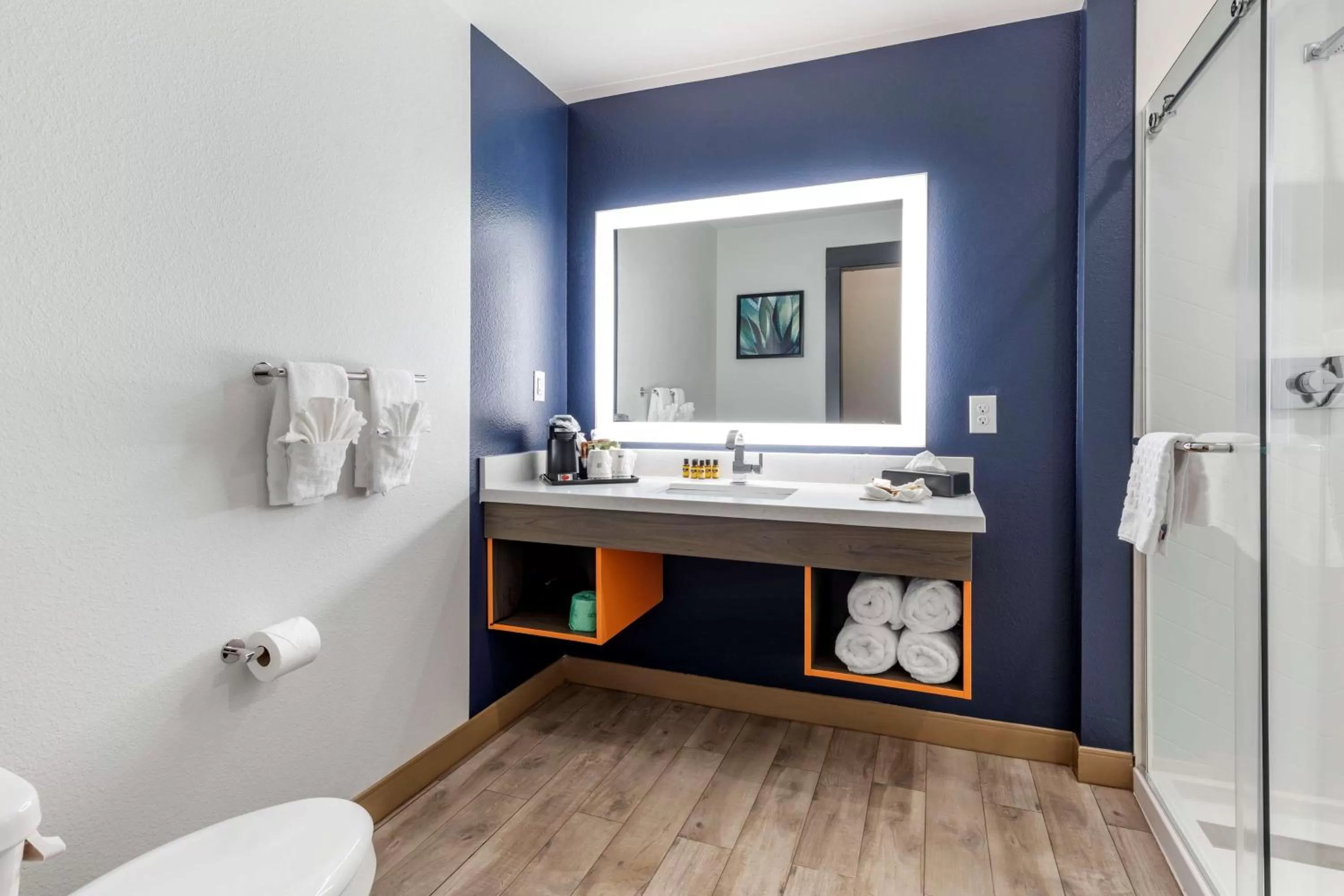 Bathroom in Best Western Plus Amarillo East Hotel