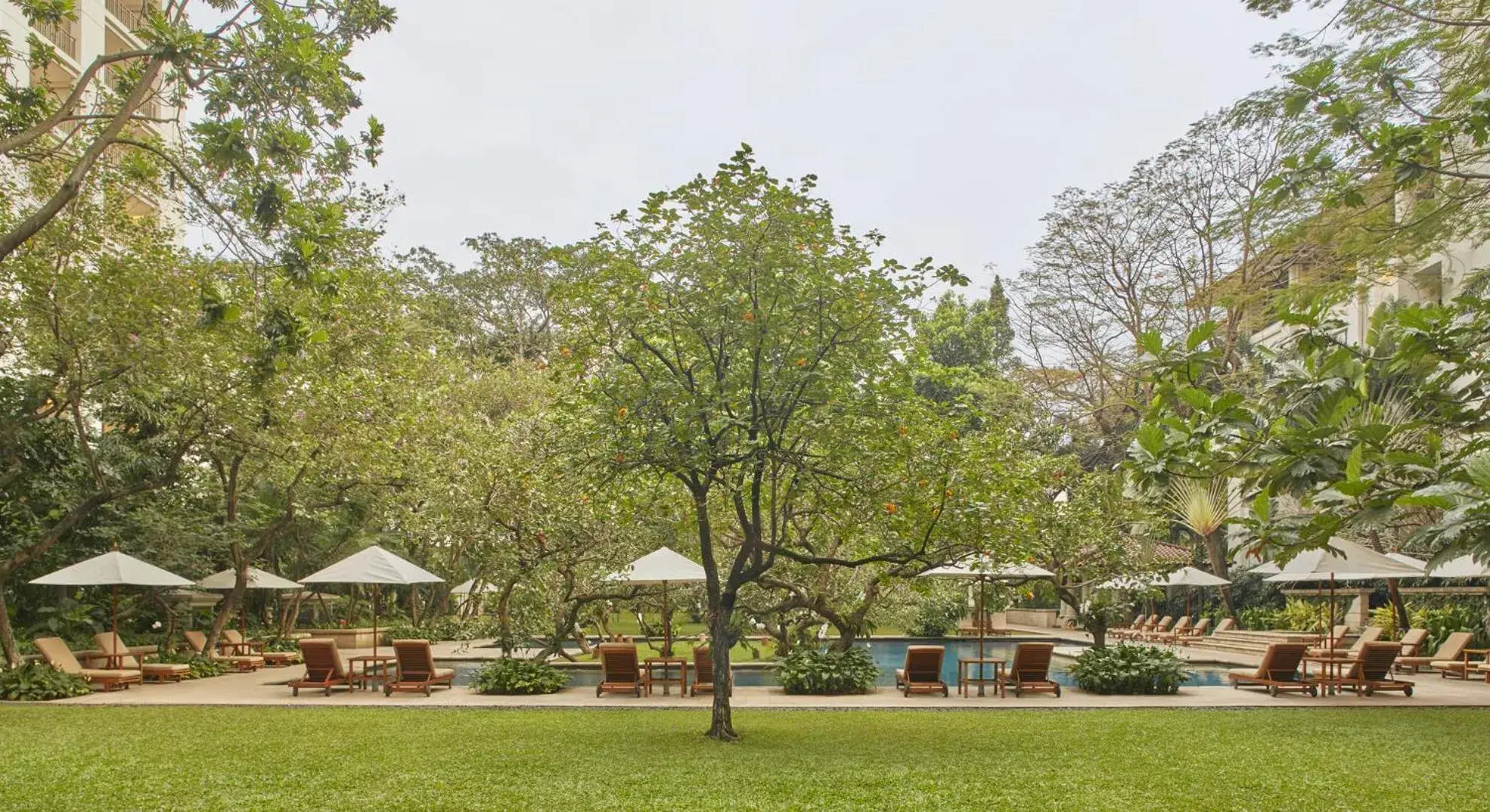 Garden in The Dharmawangsa Jakarta