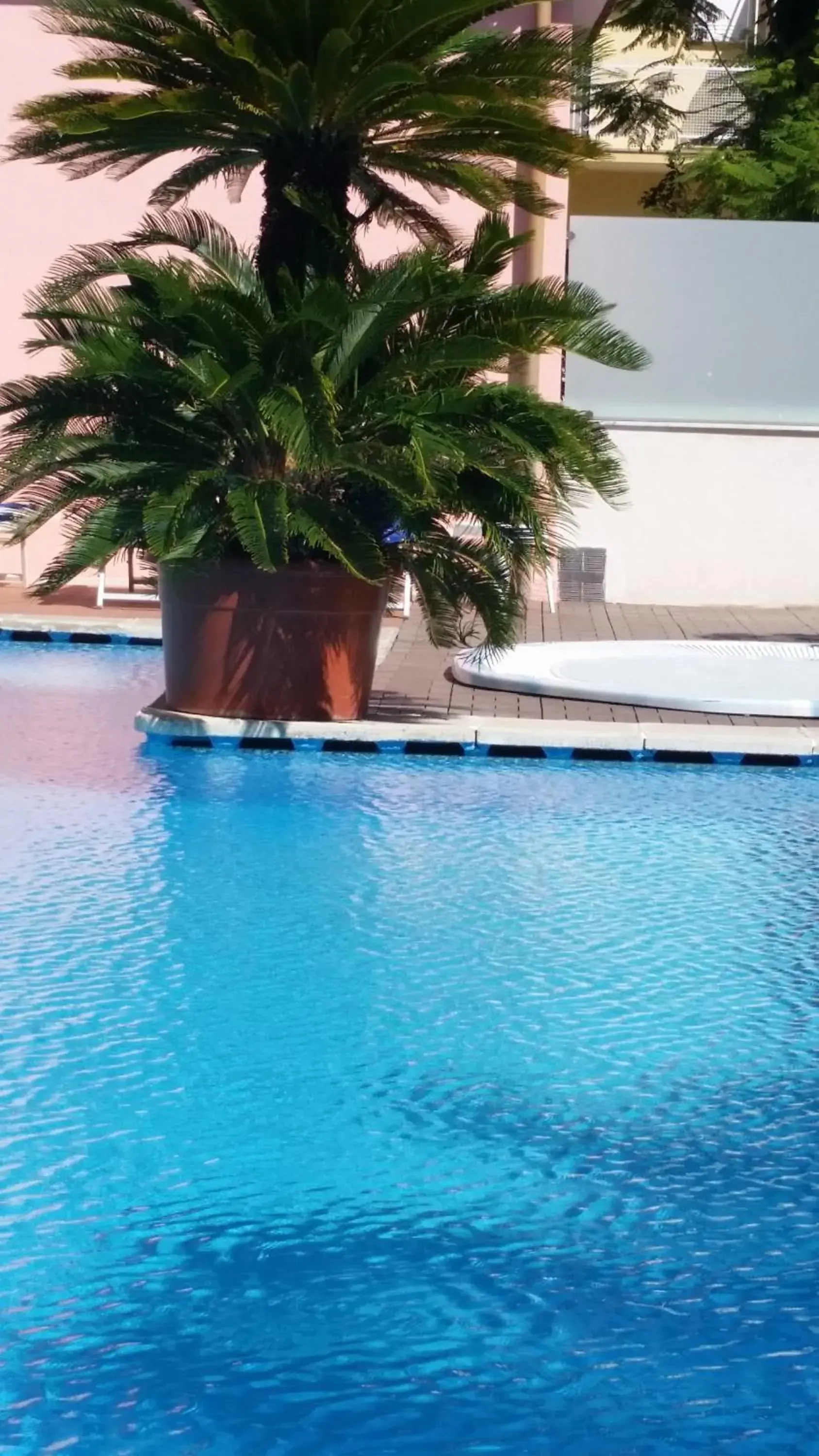 Garden, Swimming Pool in Hotel Splendid