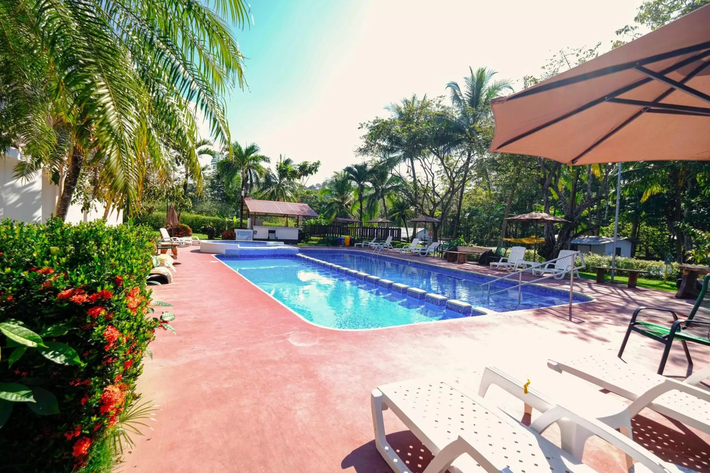 Garden view, Swimming Pool in Hotel Terraza del Pacifico