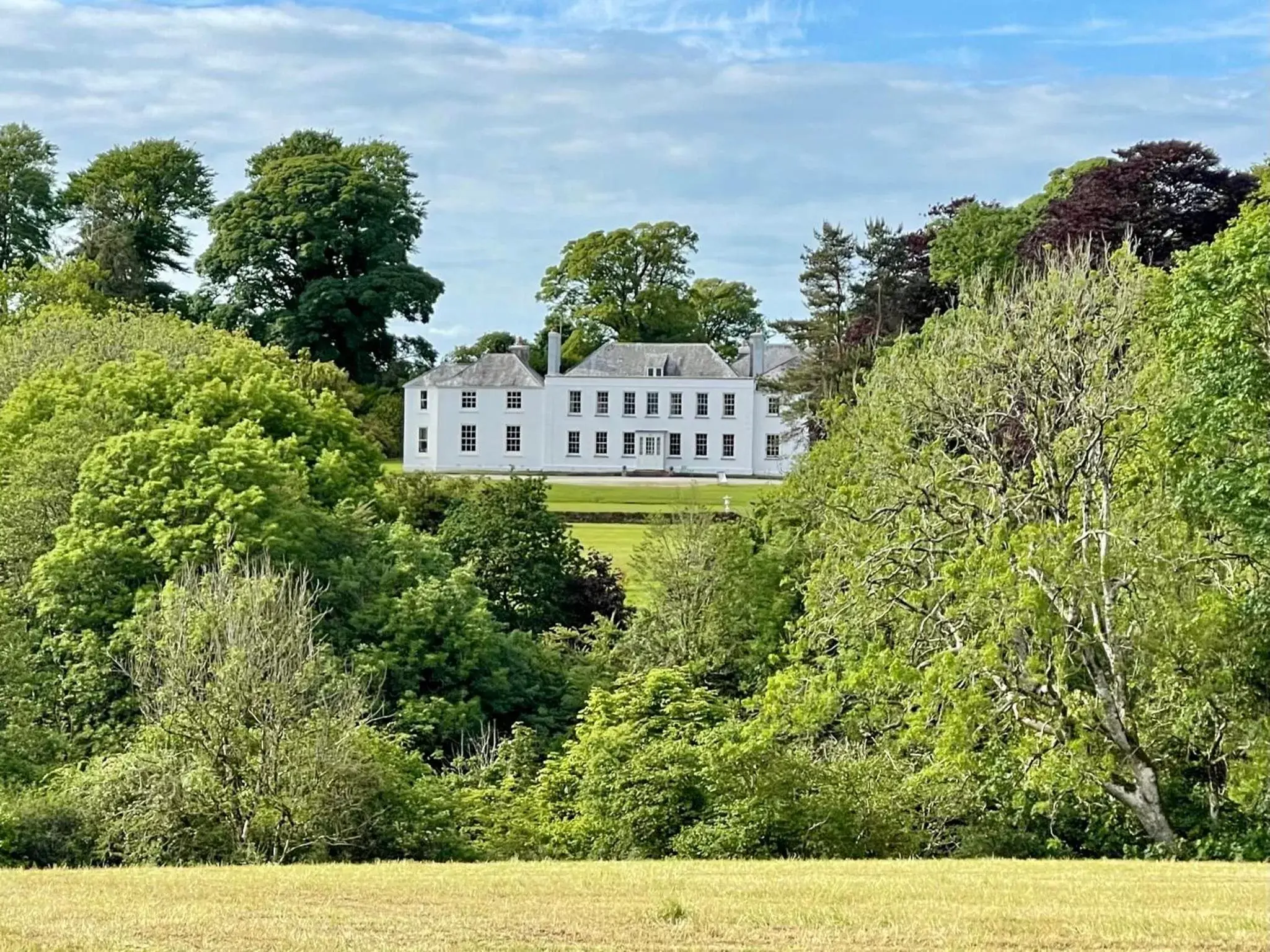 Property Building in Trewardale