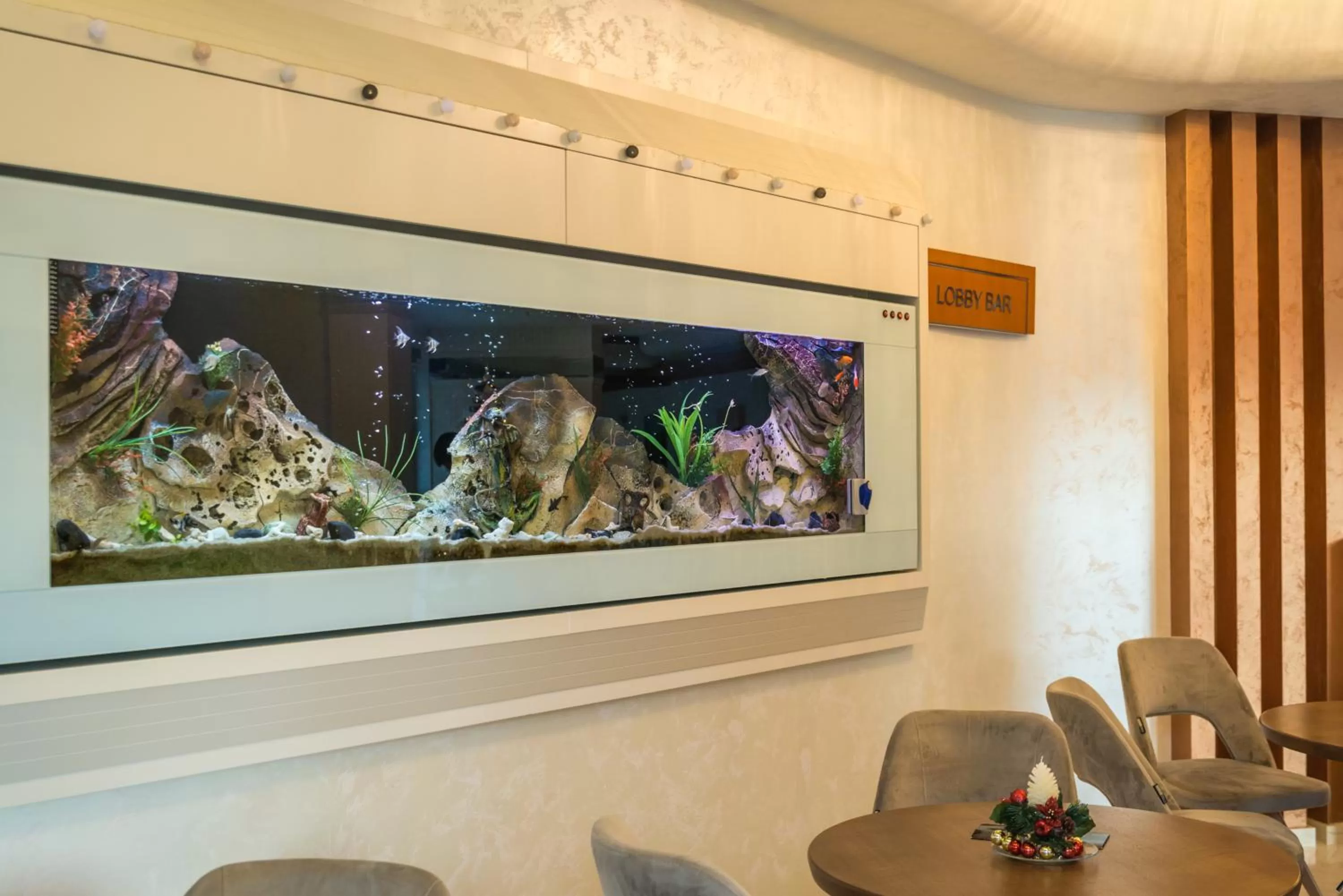 Animals in Hotel Kadmo by Aycon